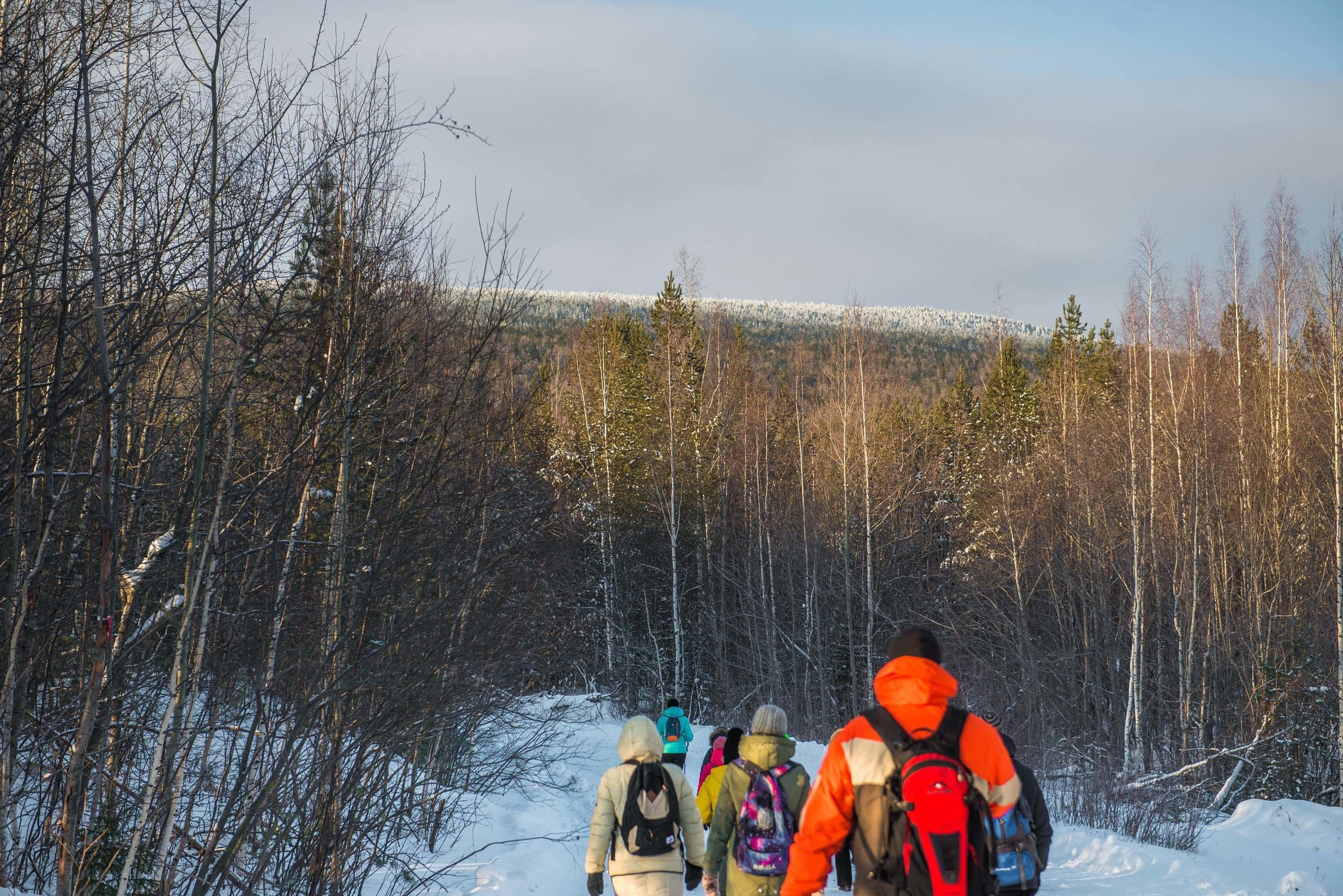 Качканар 24.11.2018. Свадебный фотограф на Урале Виктор Соколов