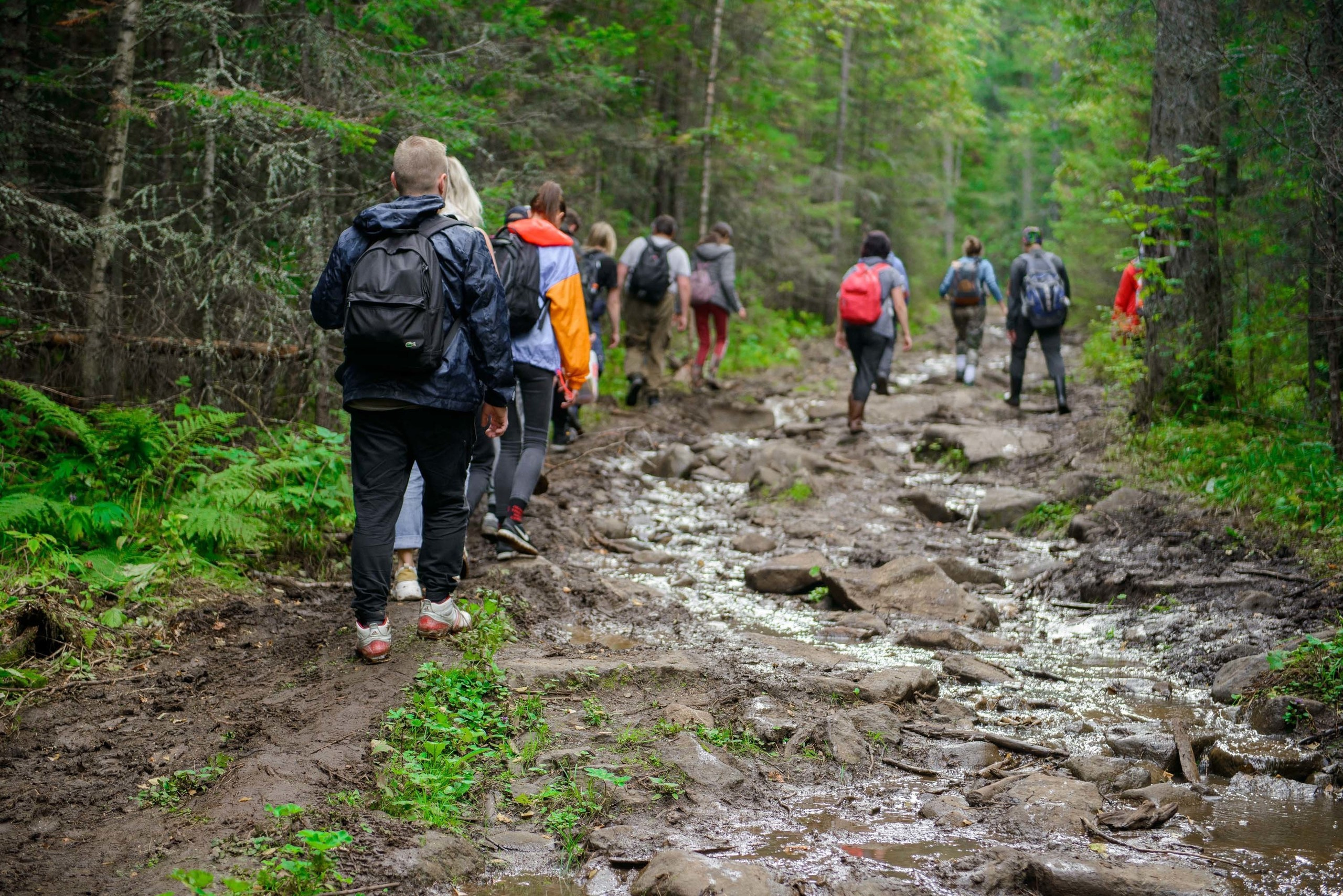 Качканар 24.08.2019. Свадебный фотограф на Урале Виктор Соколов
