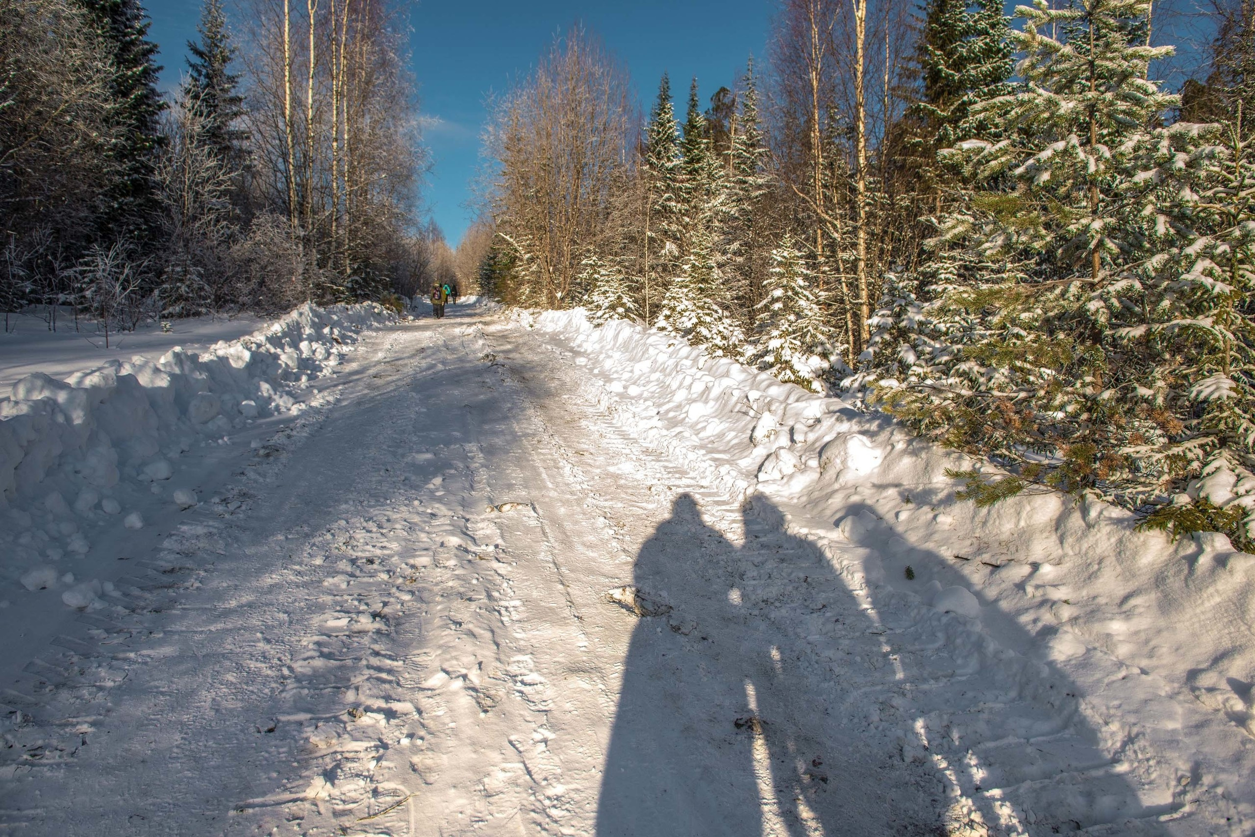 Качканар 24.11.2018. Свадебный фотограф на Урале Виктор Соколов