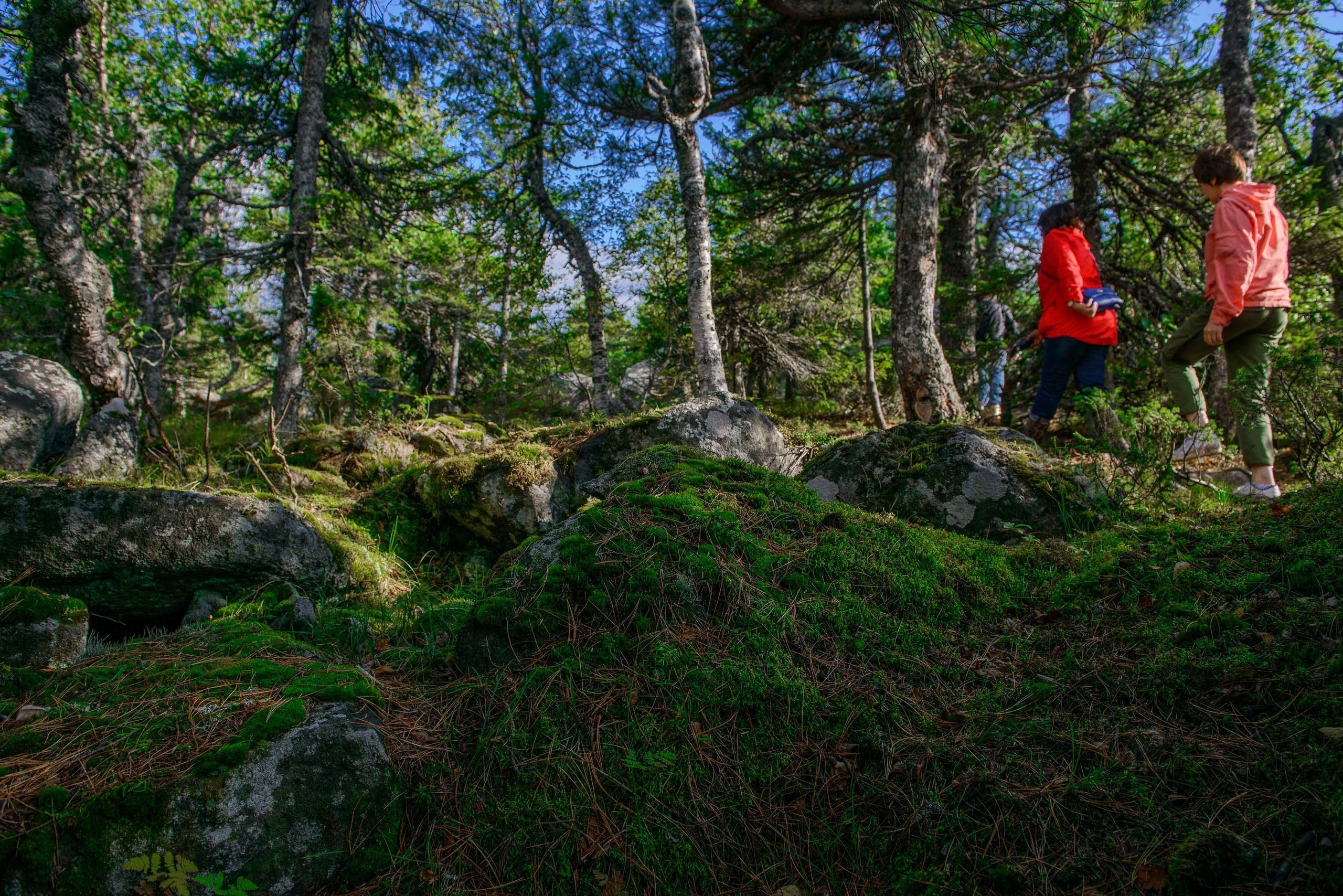 Качканар 24.08.2019. Свадебный фотограф на Урале Виктор Соколов
