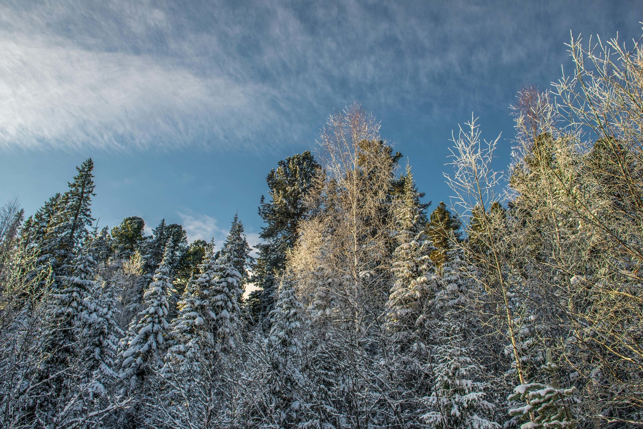 Качканар 24.11.2018. Свадебный фотограф на Урале Виктор Соколов