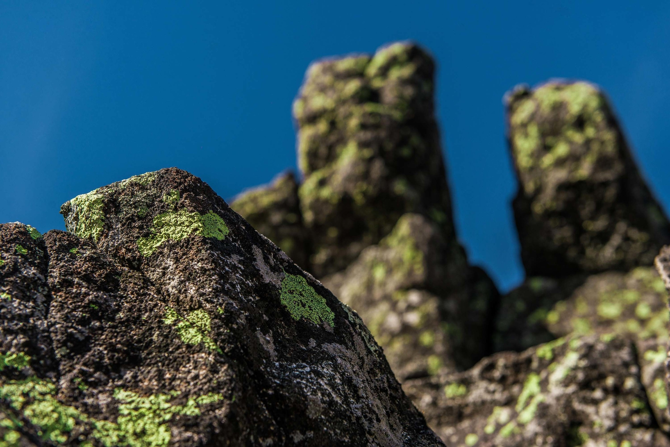 Качканар 06.04.2019. Свадебный фотограф на Урале Виктор Соколов