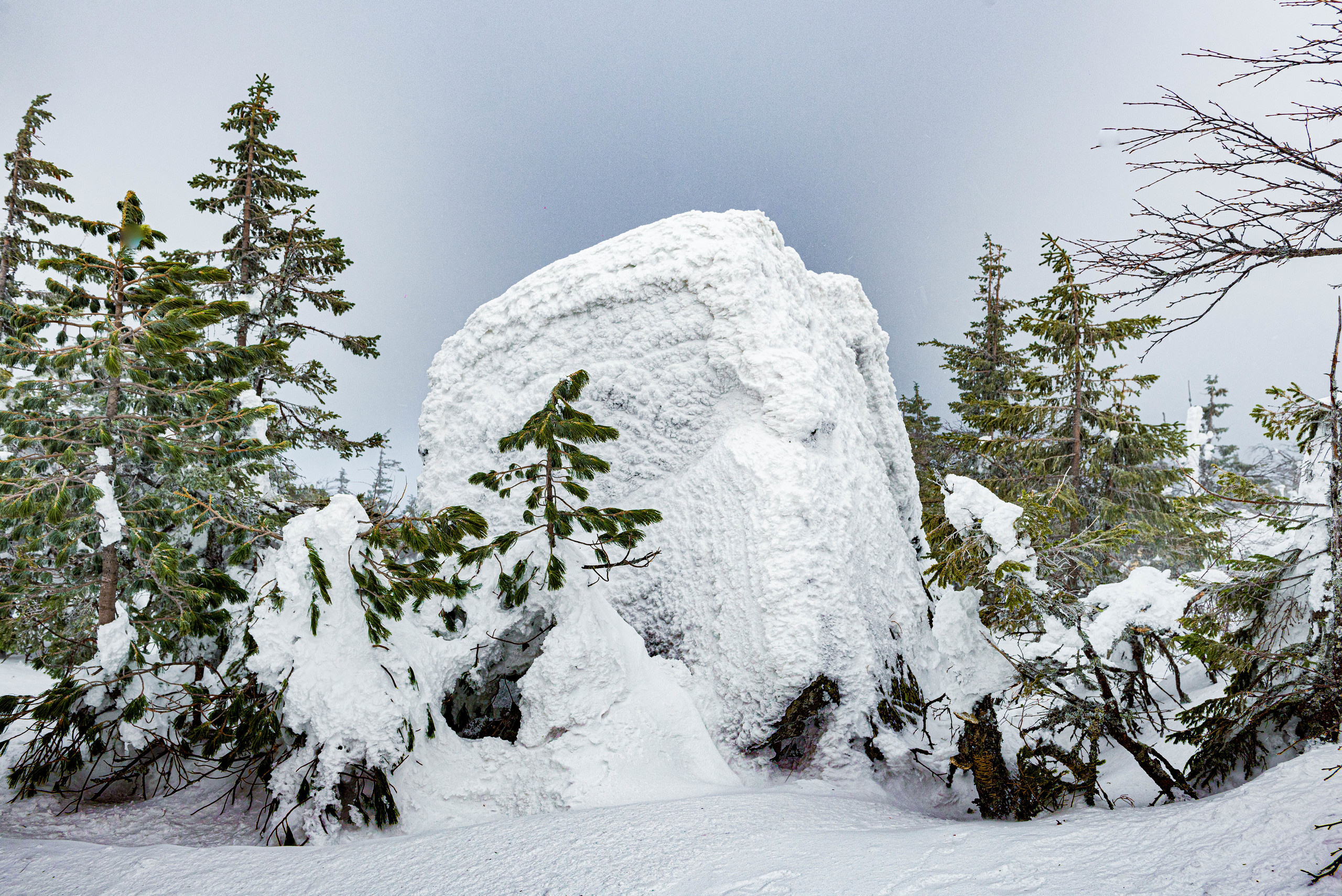 Качканар 07.03.2020. Свадебный фотограф на Урале Виктор Соколов