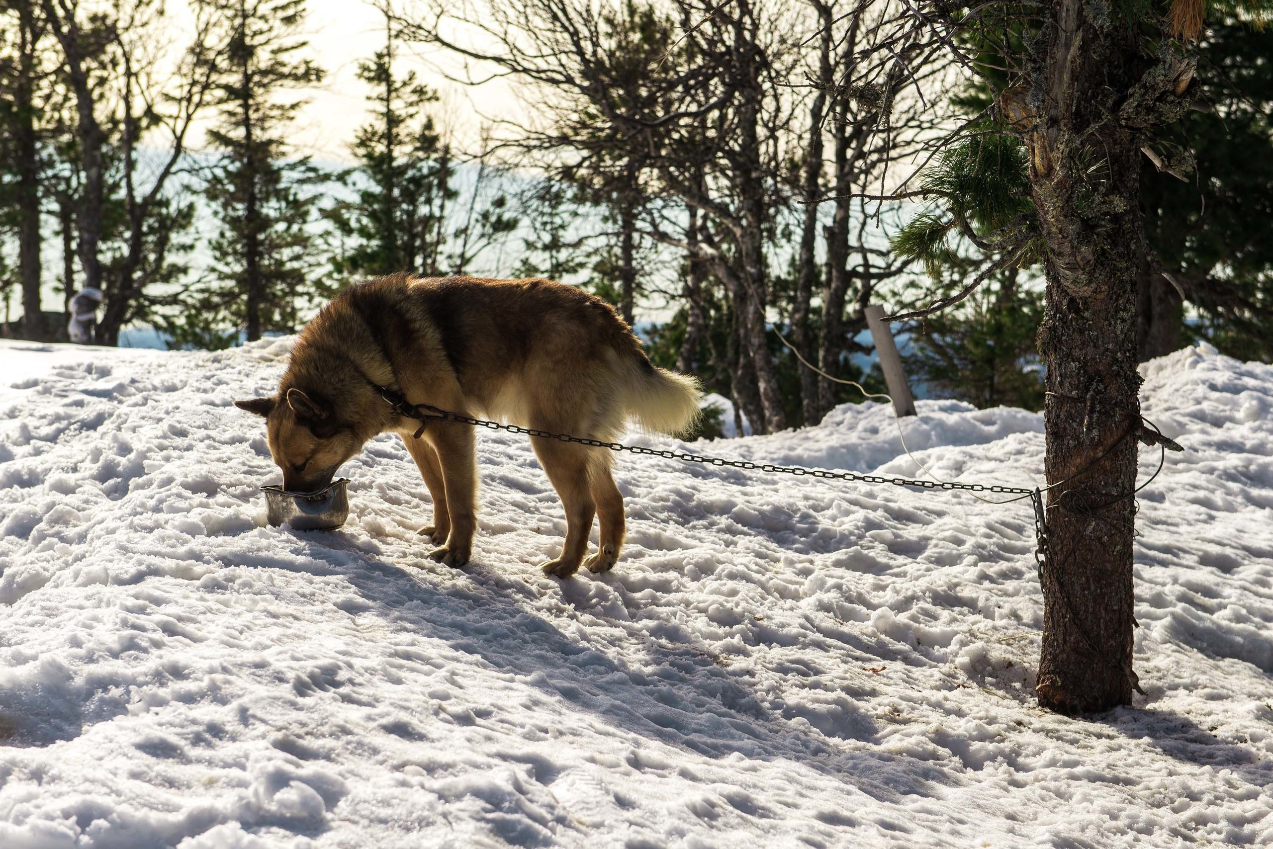 Качканар 06.04.2019. Свадебный фотограф на Урале Виктор Соколов