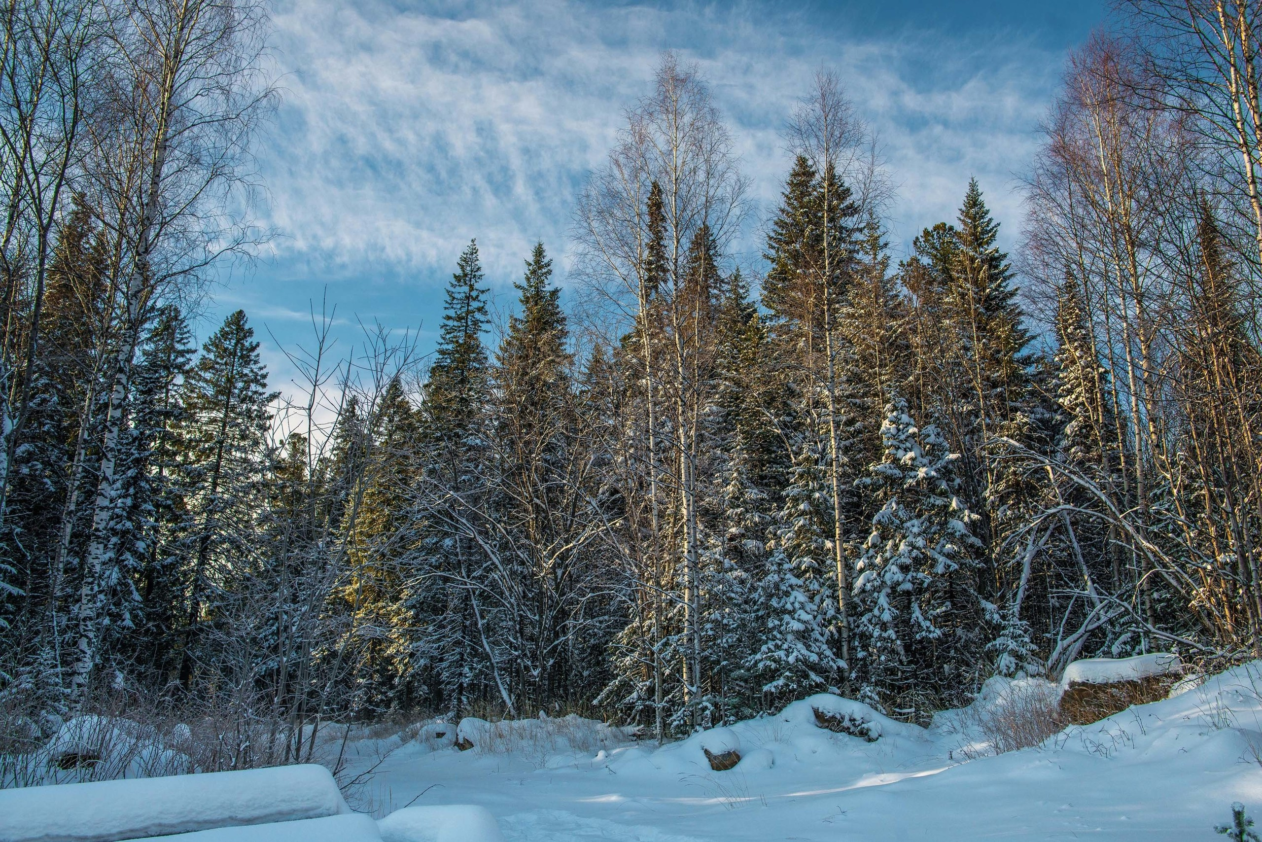 Качканар 24.11.2018. Свадебный фотограф на Урале Виктор Соколов