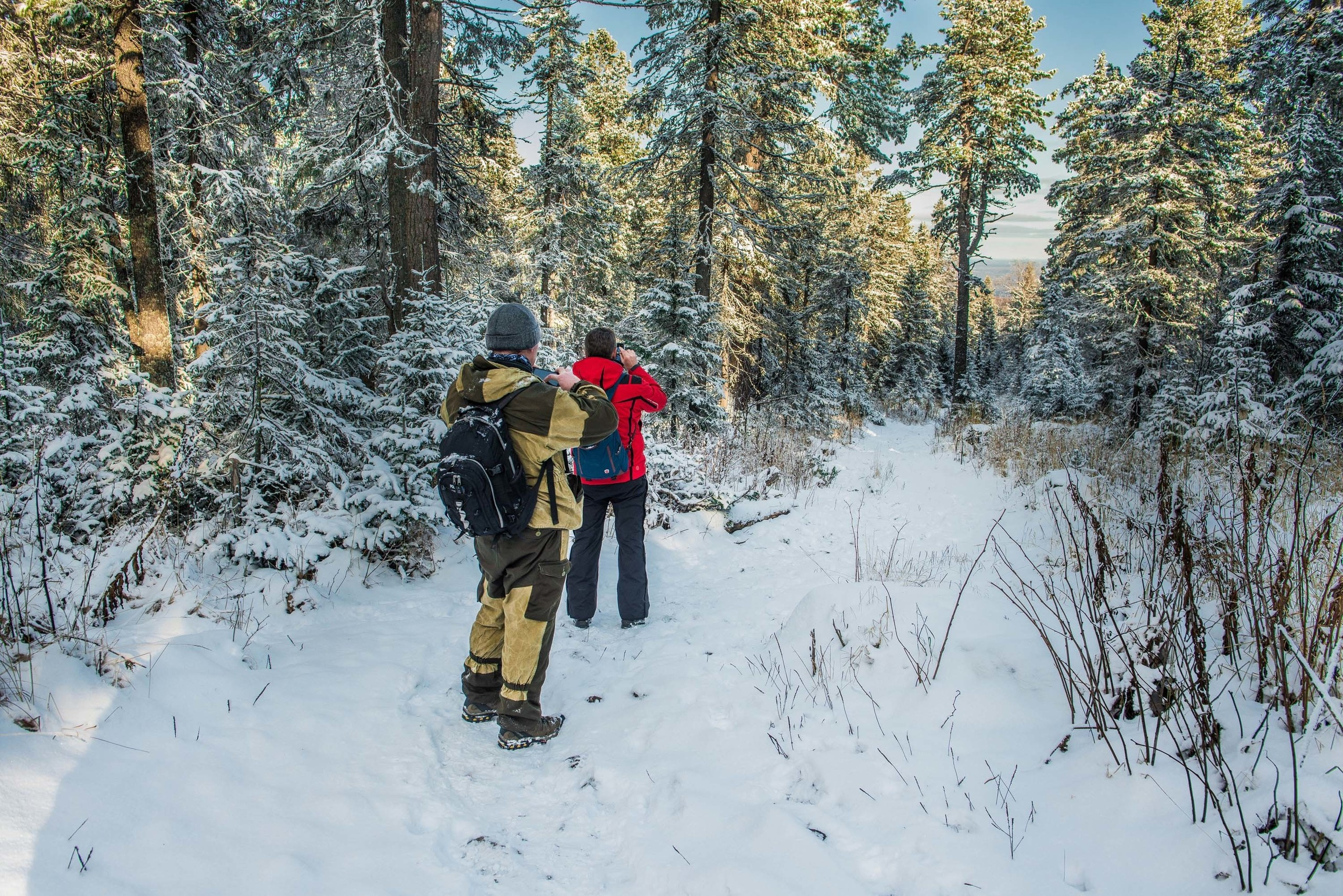 Качканар 19.10.2019. Свадебный фотограф на Урале Виктор Соколов