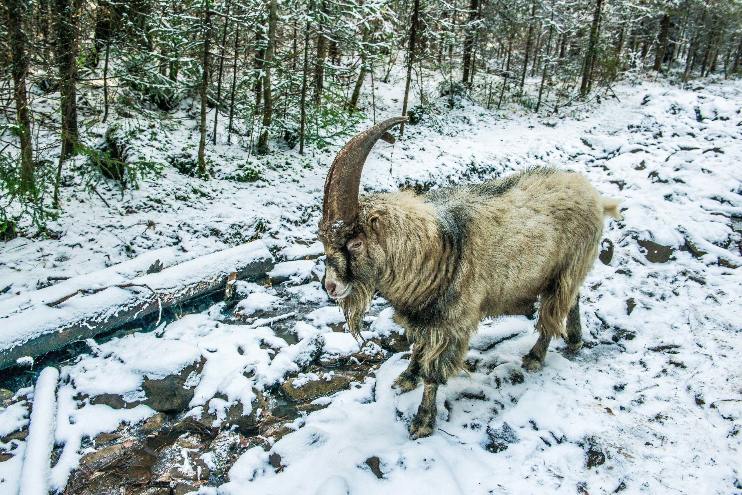 Качканар 19.10.2019. Свадебный фотограф на Урале Виктор Соколов