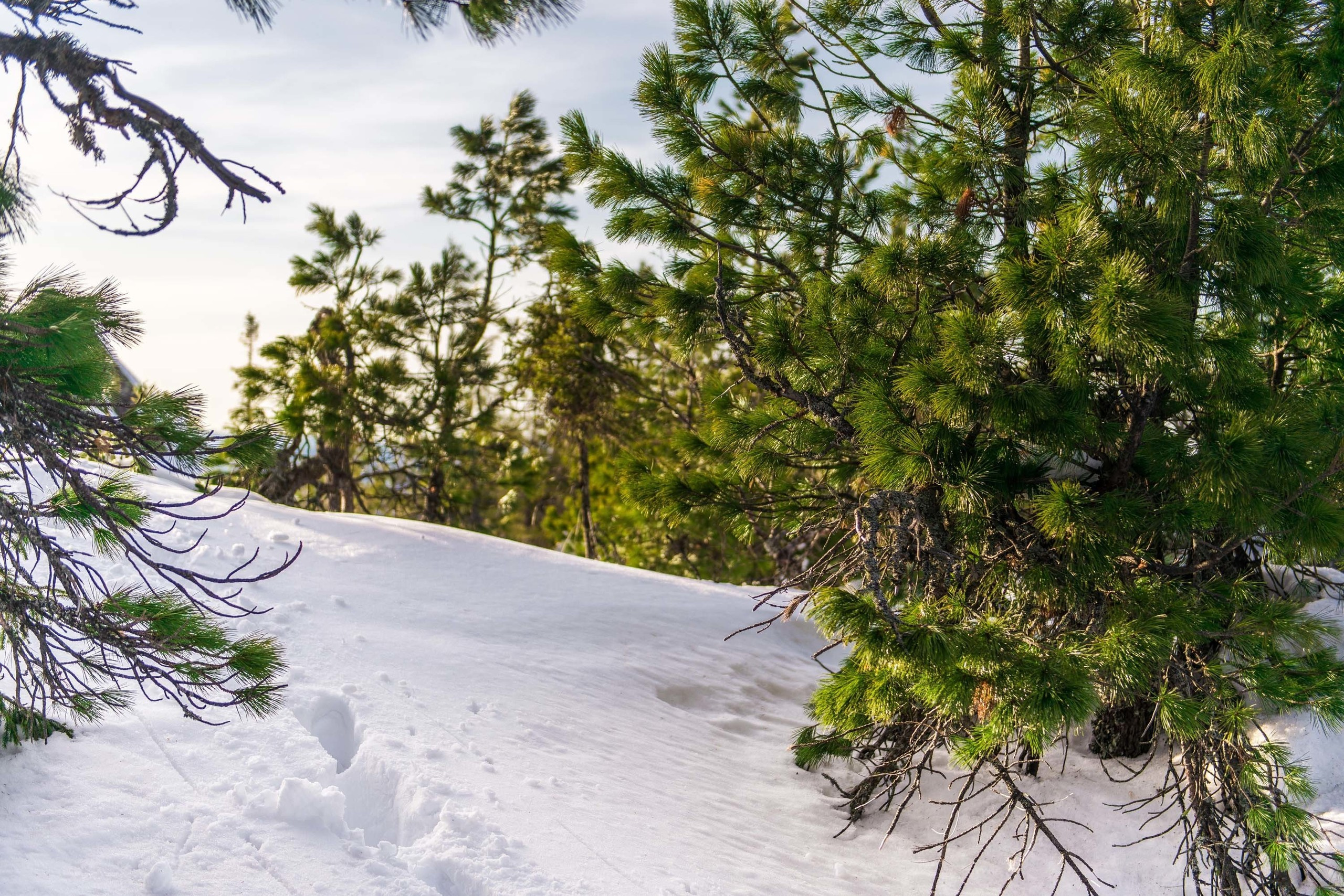 Качканар 06.04.2019. Свадебный фотограф на Урале Виктор Соколов