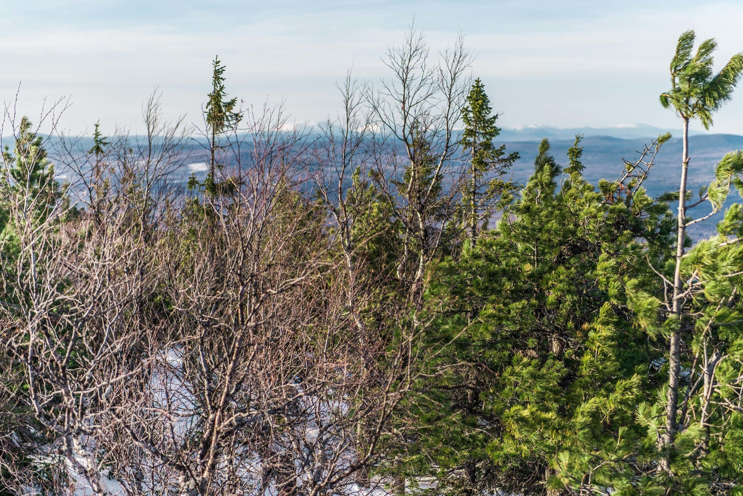 Качканар 06.04.2019. Свадебный фотограф на Урале Виктор Соколов