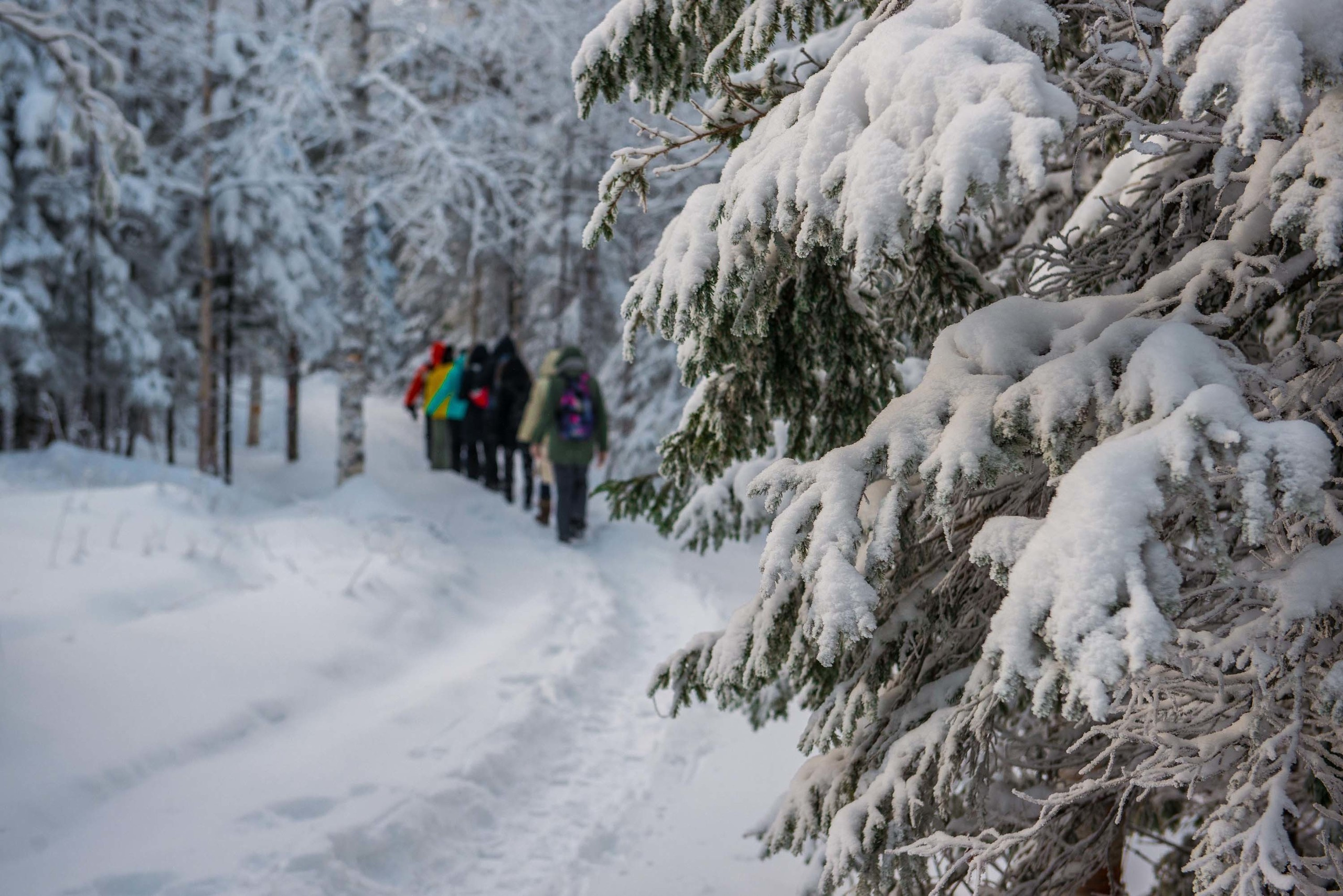 Качканар 24.11.2018. Свадебный фотограф на Урале Виктор Соколов