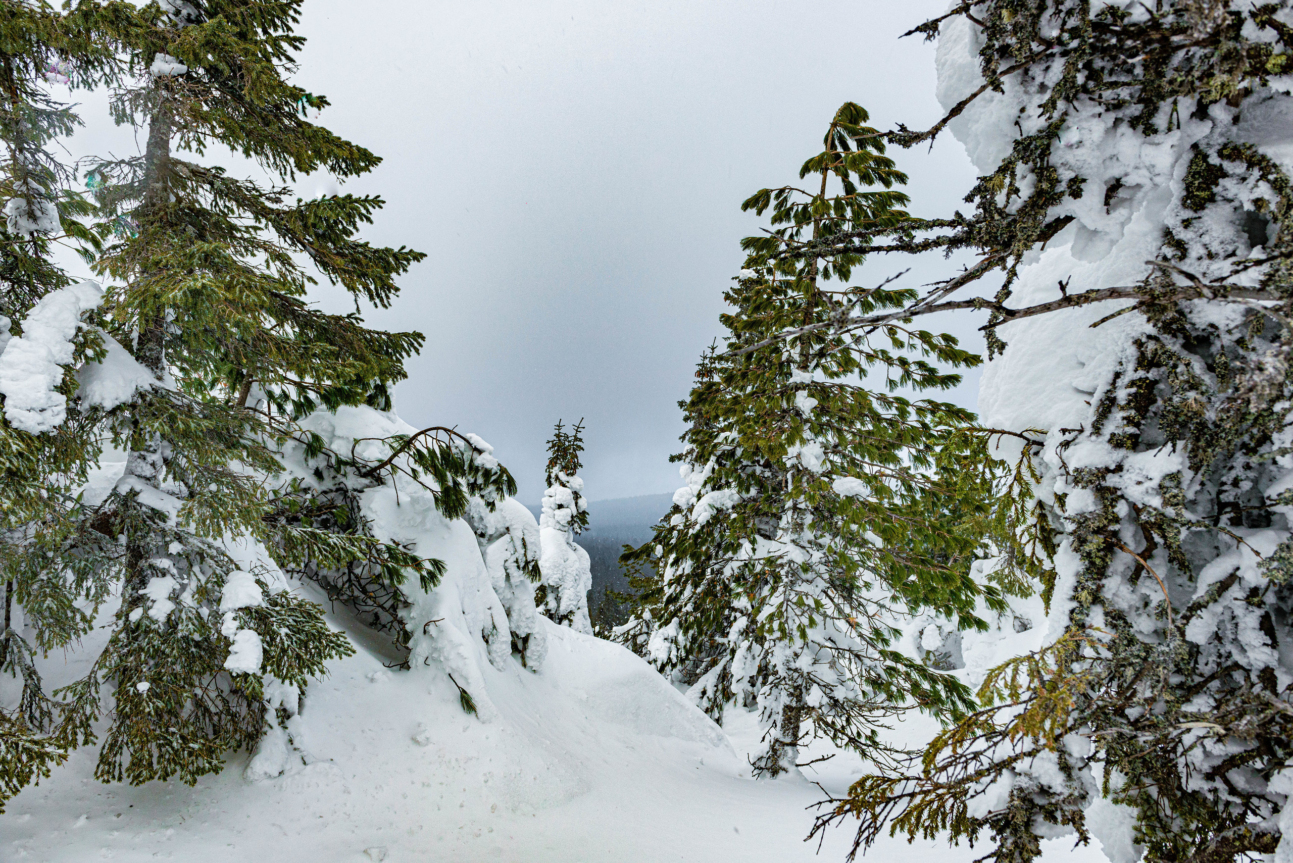 Качканар 07.03.2020. Свадебный фотограф на Урале Виктор Соколов