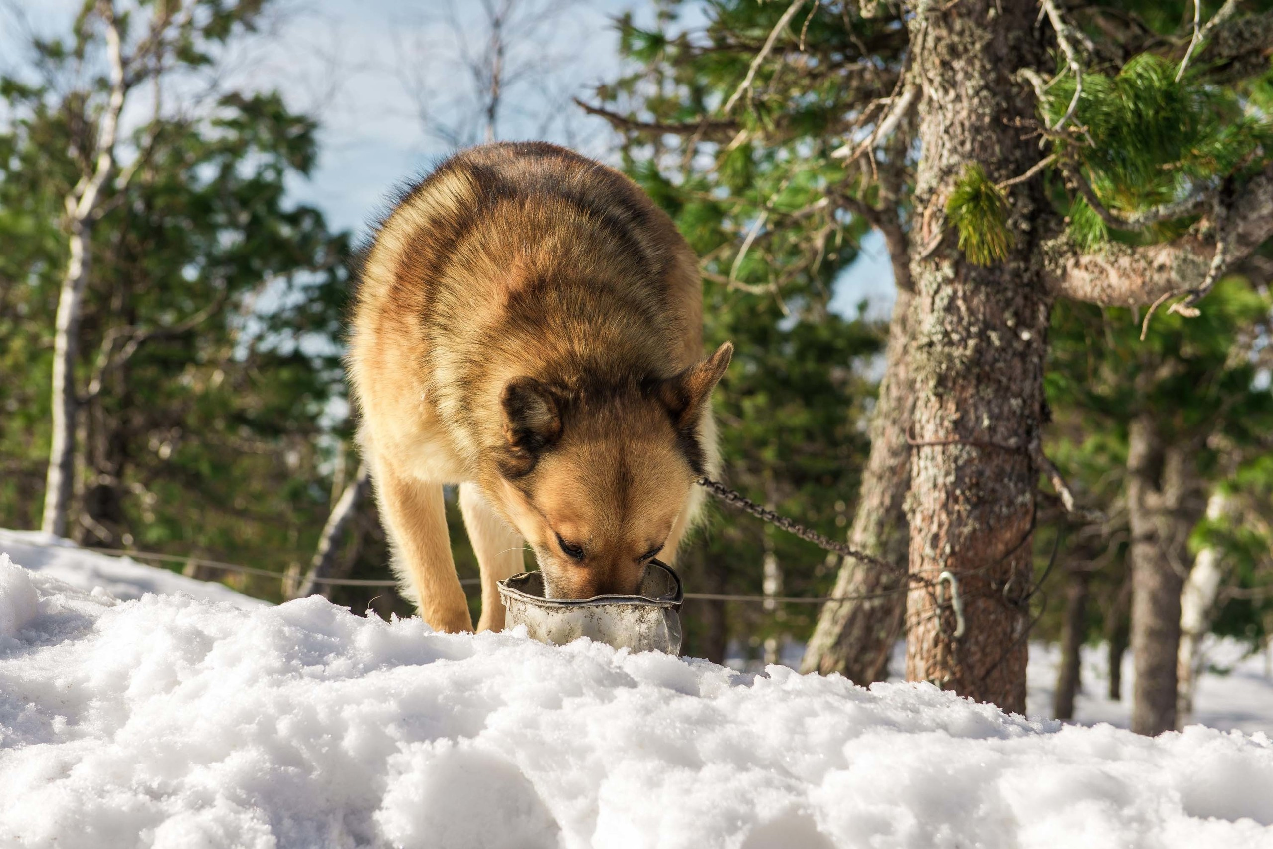 Качканар 06.04.2019. Свадебный фотограф на Урале Виктор Соколов