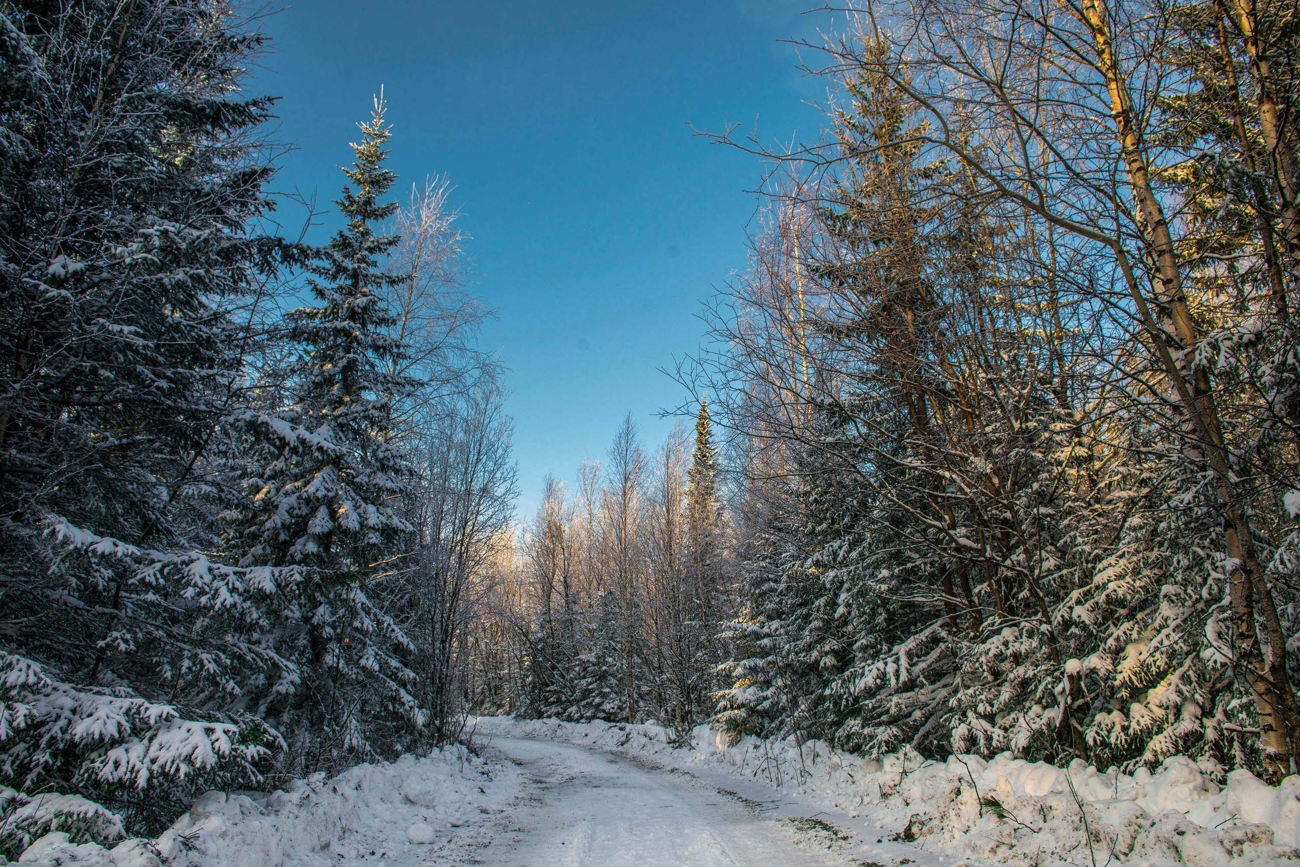 Качканар 24.11.2018. Свадебный фотограф на Урале Виктор Соколов