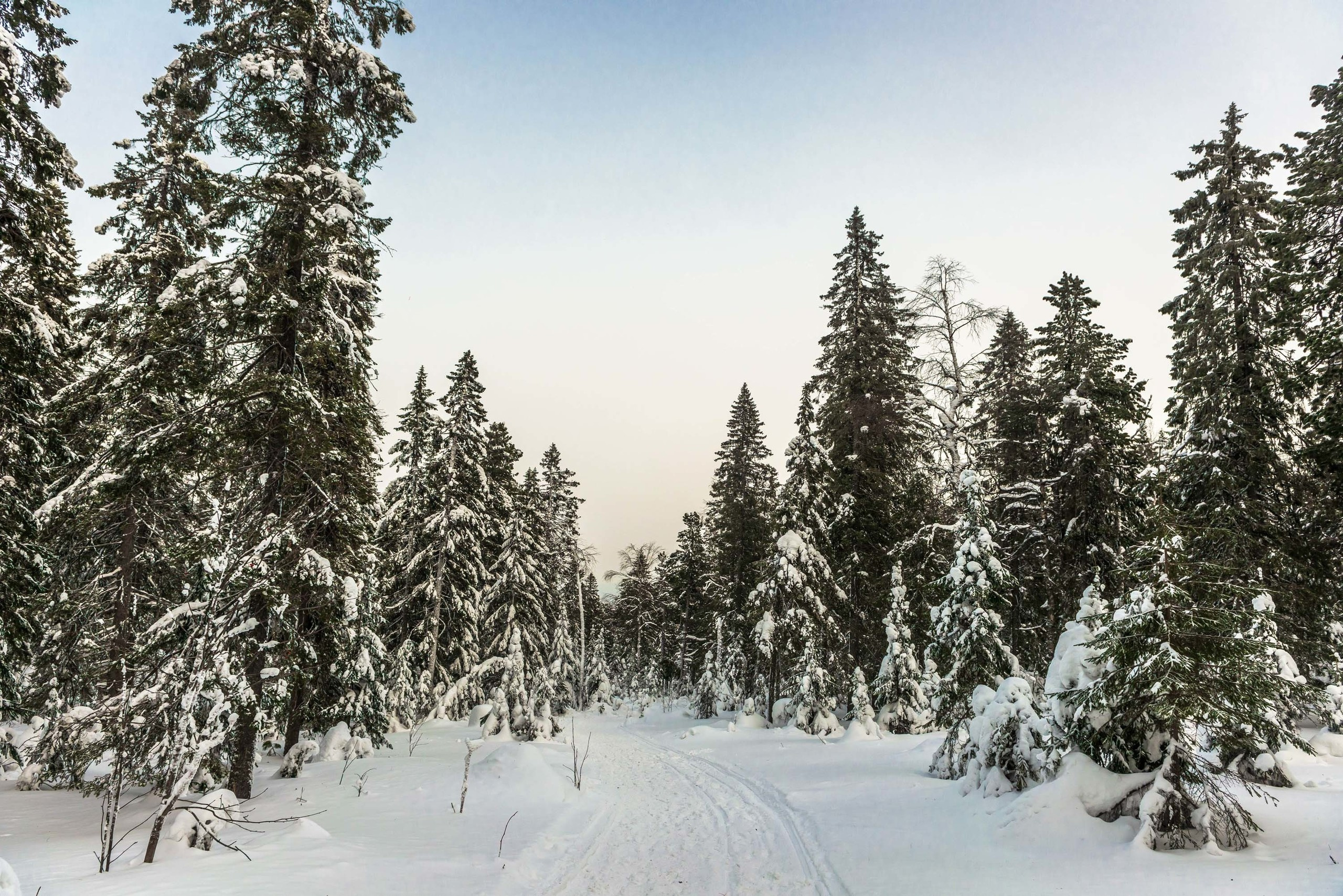 Качканар 15.02.2020. Свадебный фотограф на Урале Виктор Соколов