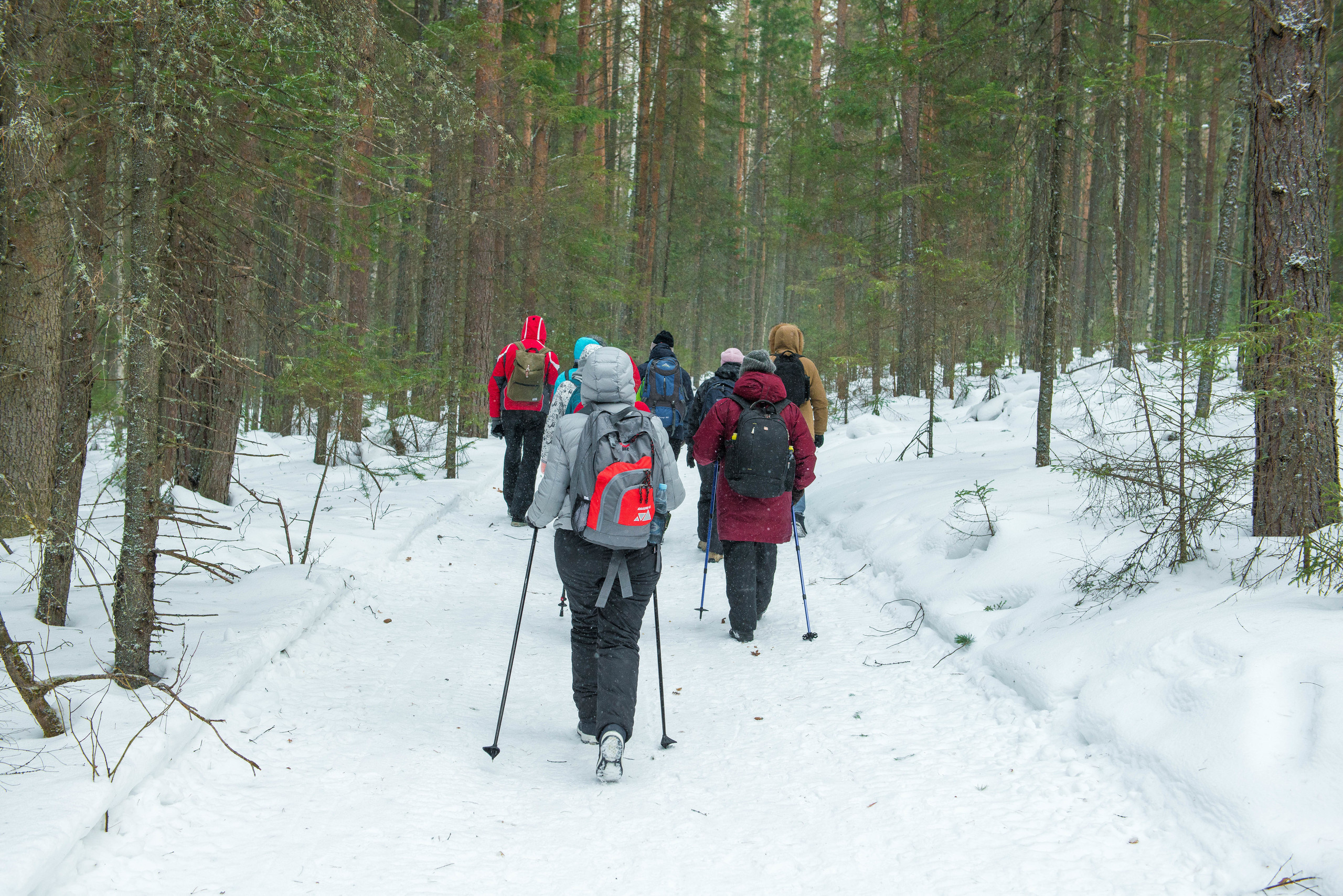 Качканар 07.03.2020. Свадебный фотограф на Урале Виктор Соколов