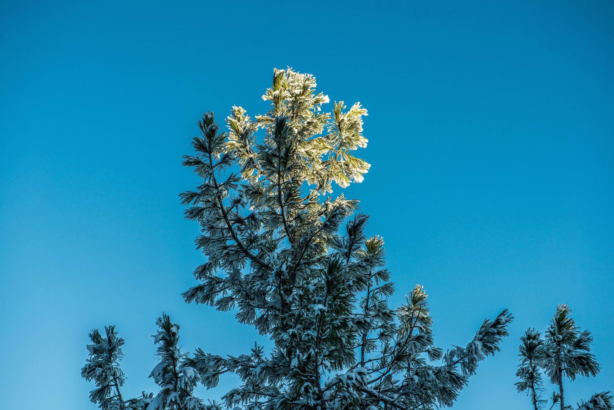 Качканар 19.10.2019. Свадебный фотограф на Урале Виктор Соколов