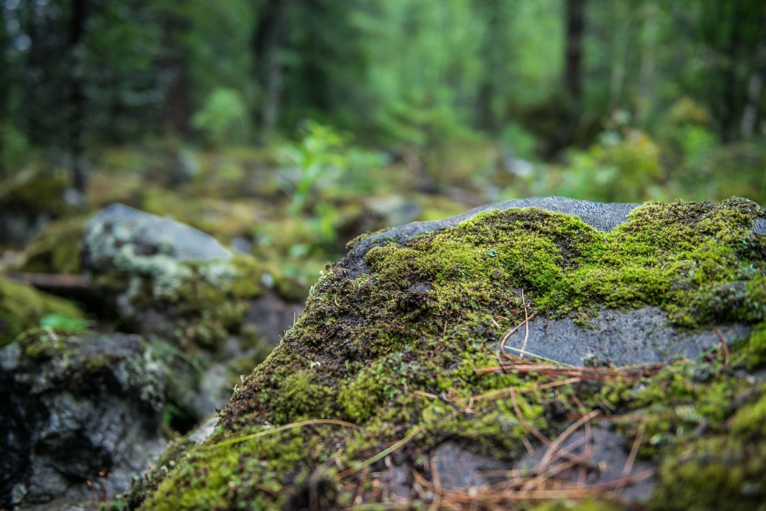 Качканар 03.08.2019. Свадебный фотограф на Урале Виктор Соколов