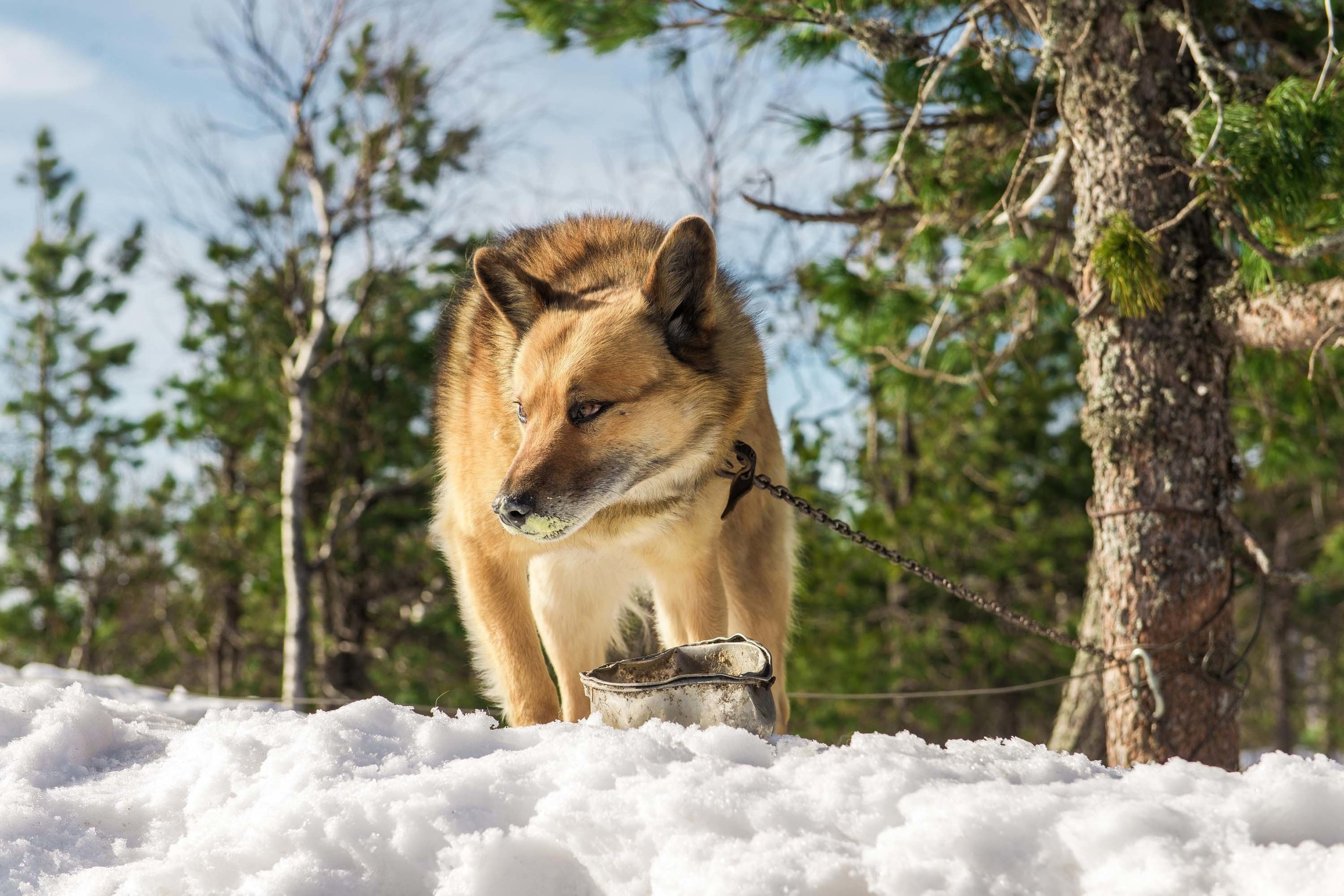 Качканар 06.04.2019. Свадебный фотограф на Урале Виктор Соколов
