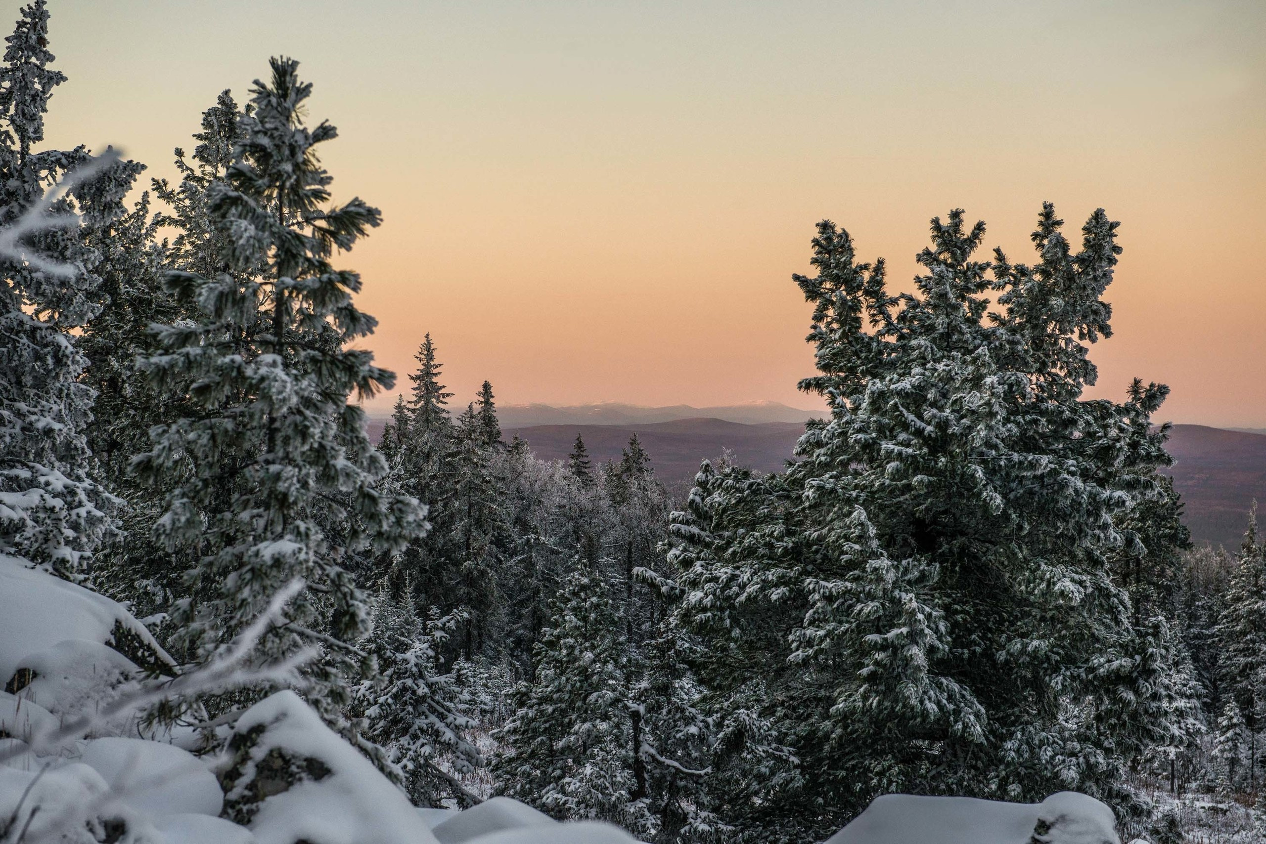 Качканар 19.10.2019. Свадебный фотограф на Урале Виктор Соколов