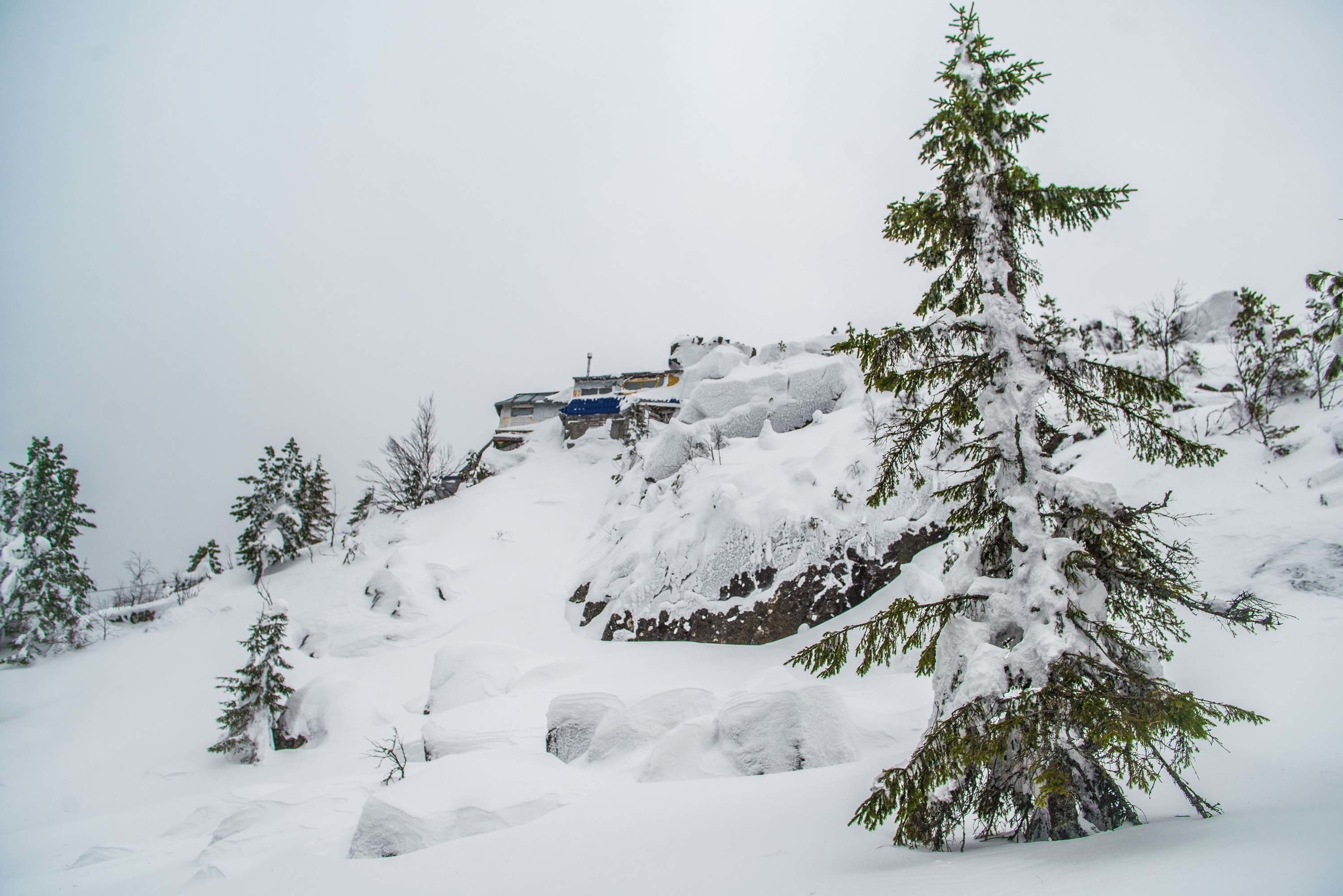 Качканар 09.03.2019. Свадебный фотограф на Урале Виктор Соколов