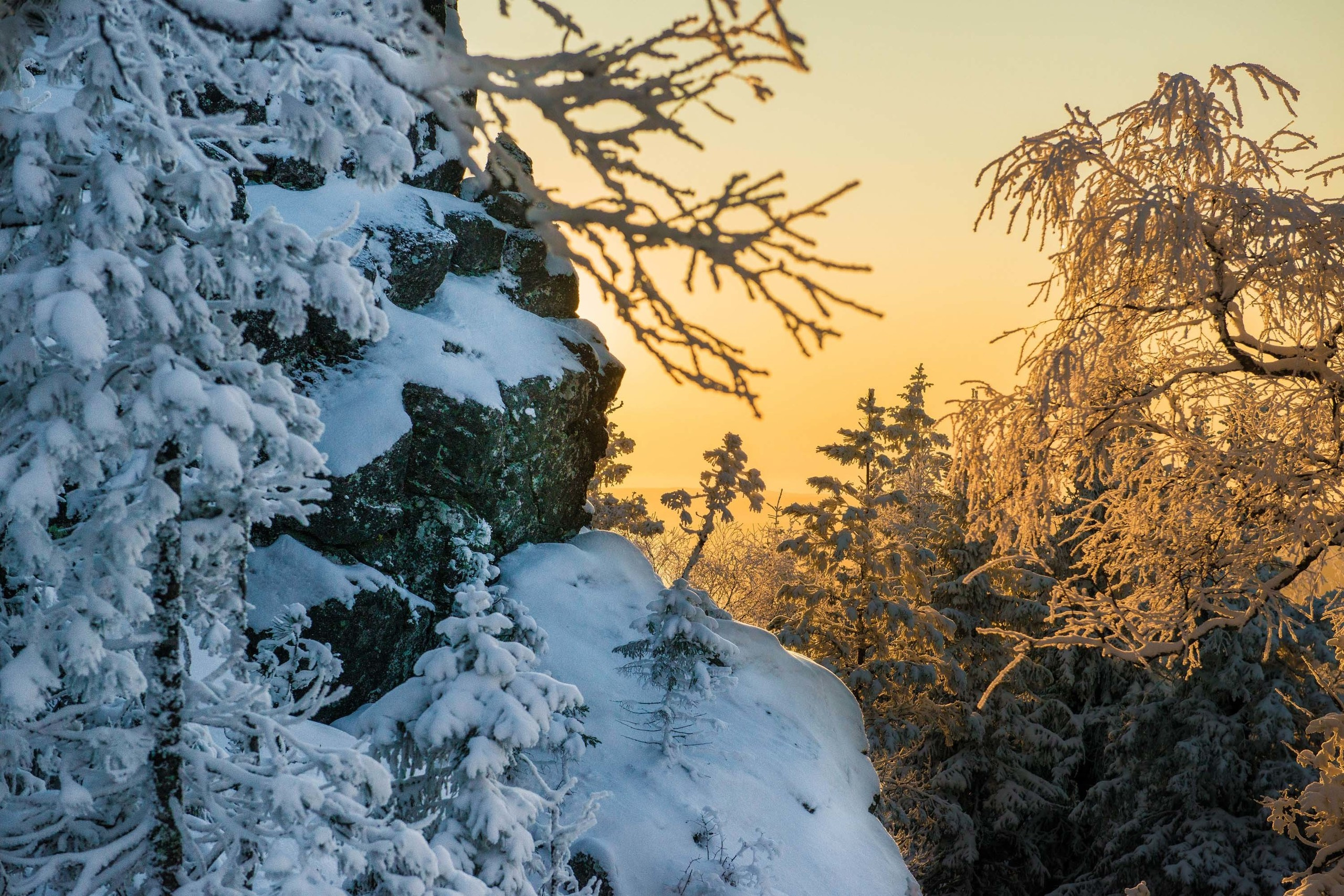 Качканар 19.10.2019. Свадебный фотограф на Урале Виктор Соколов