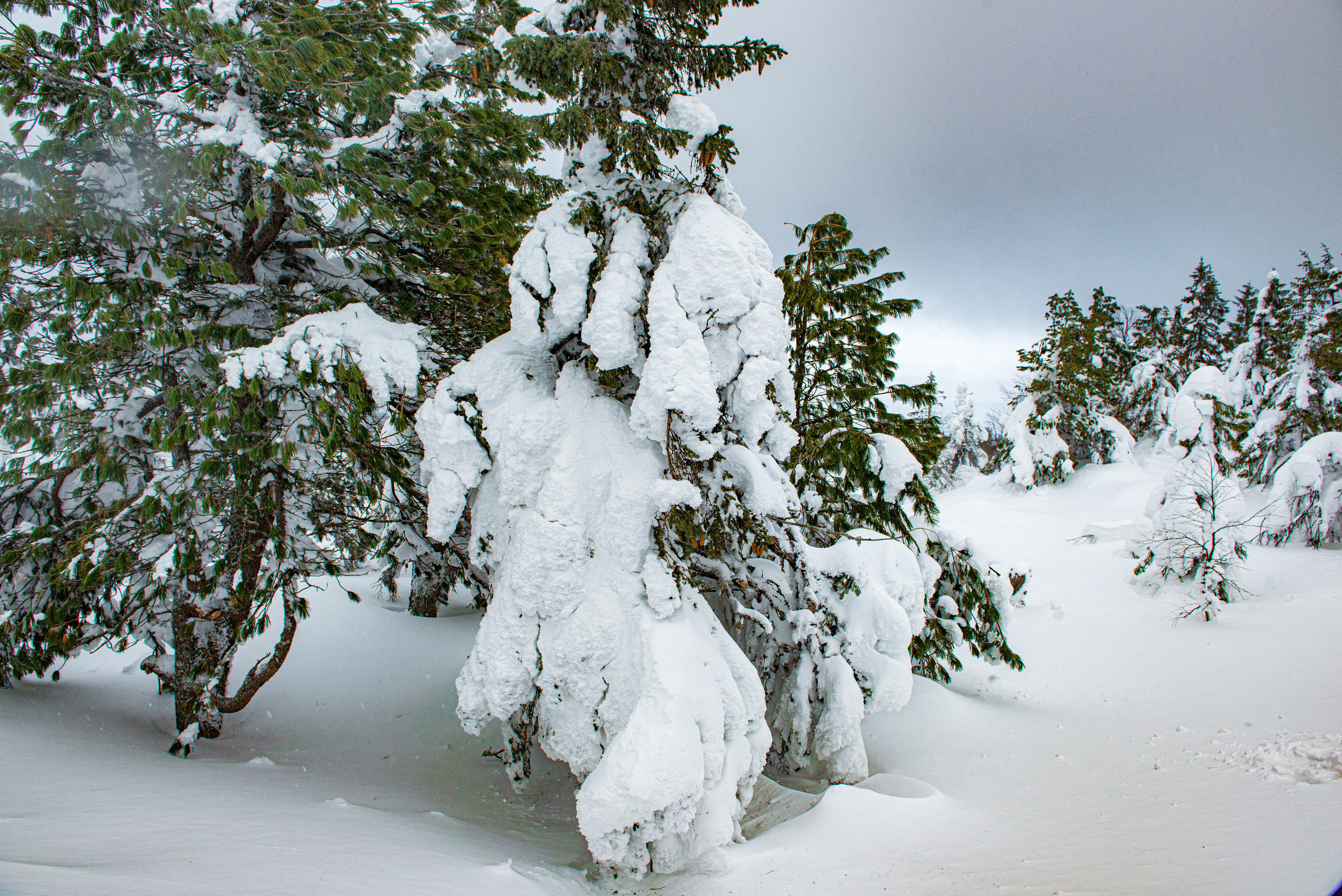 Качканар 07.03.2020. Свадебный фотограф на Урале Виктор Соколов
