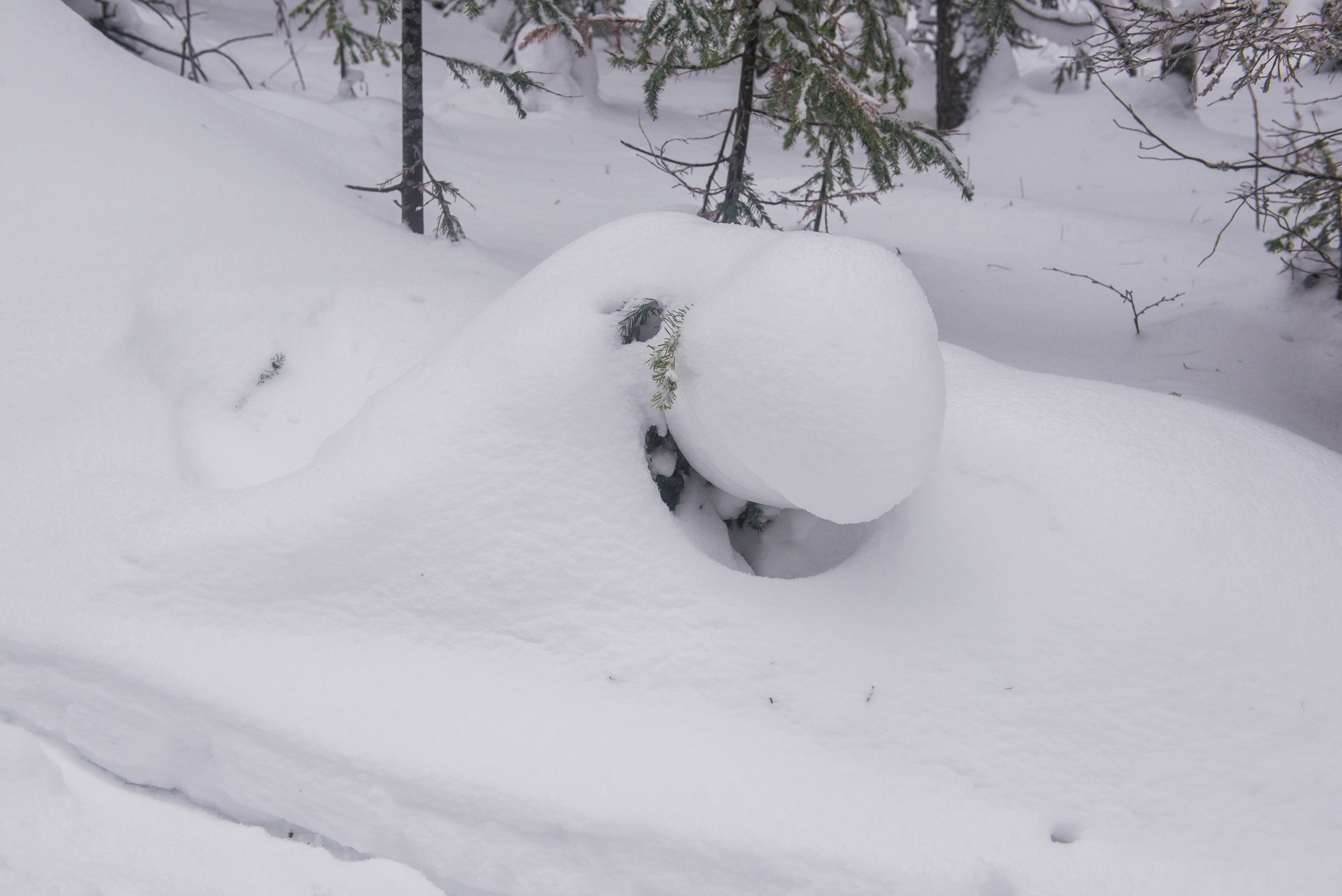 Качканар 06.01.2020. Свадебный фотограф на Урале Виктор Соколов