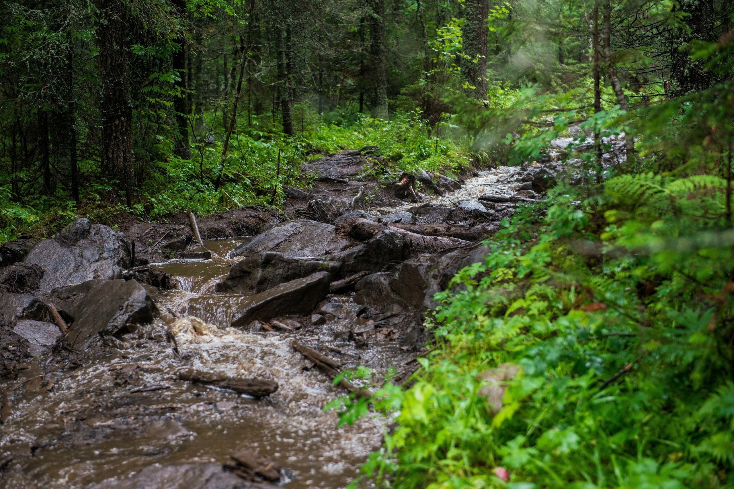 Качканар 03.08.2019. Свадебный фотограф на Урале Виктор Соколов