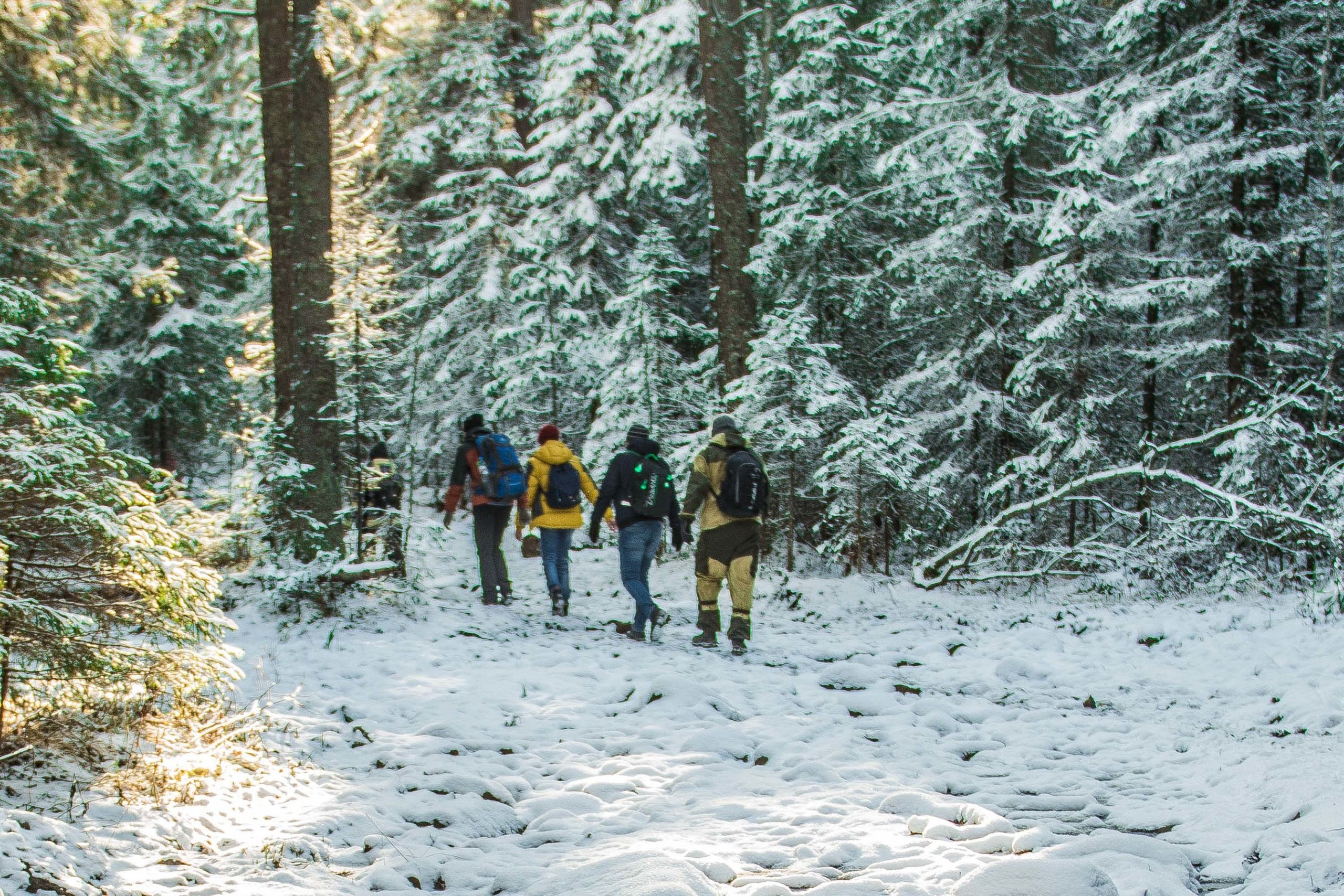 Качканар 19.10.2019. Свадебный фотограф на Урале Виктор Соколов