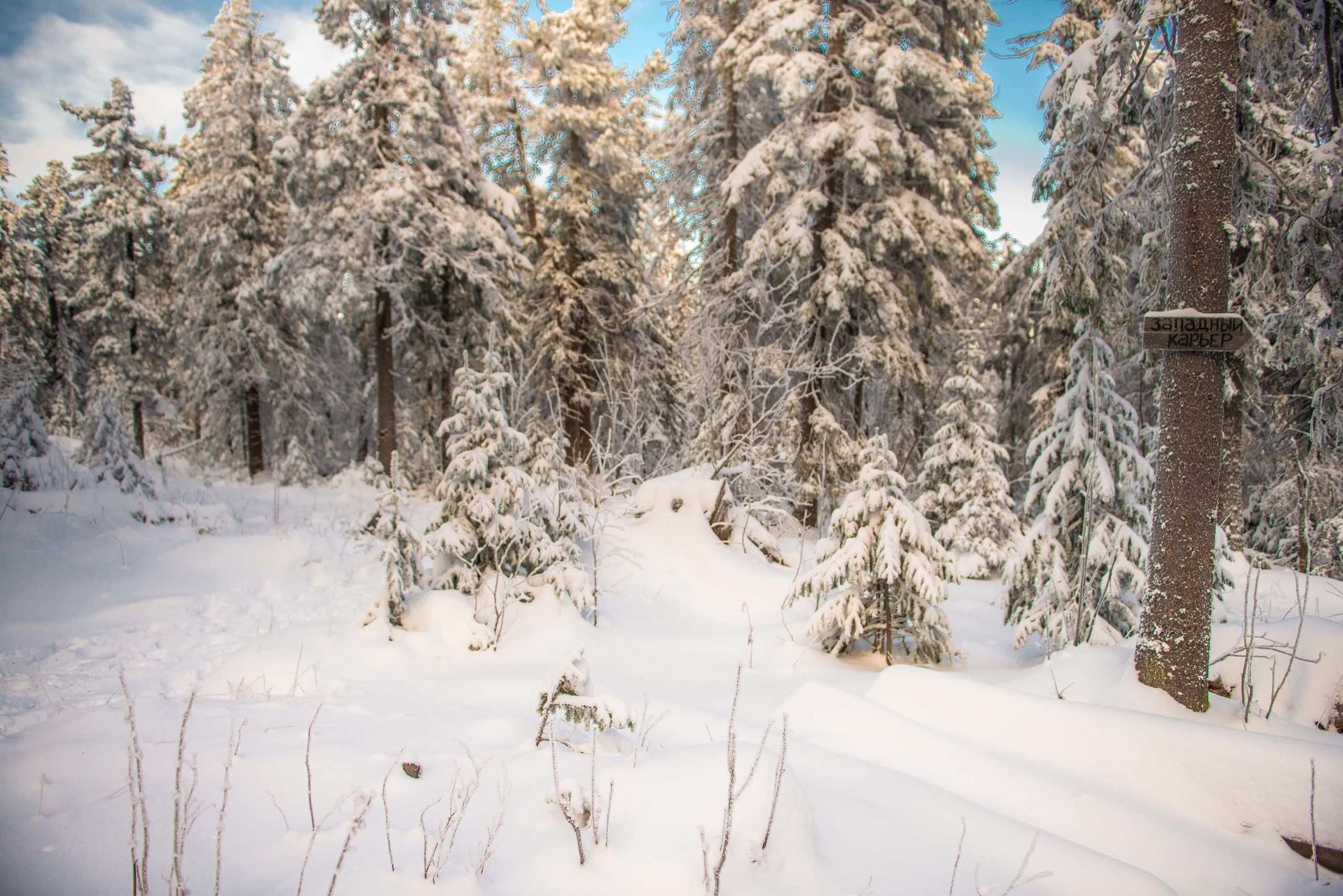 Качканар 24.11.2018. Свадебный фотограф на Урале Виктор Соколов