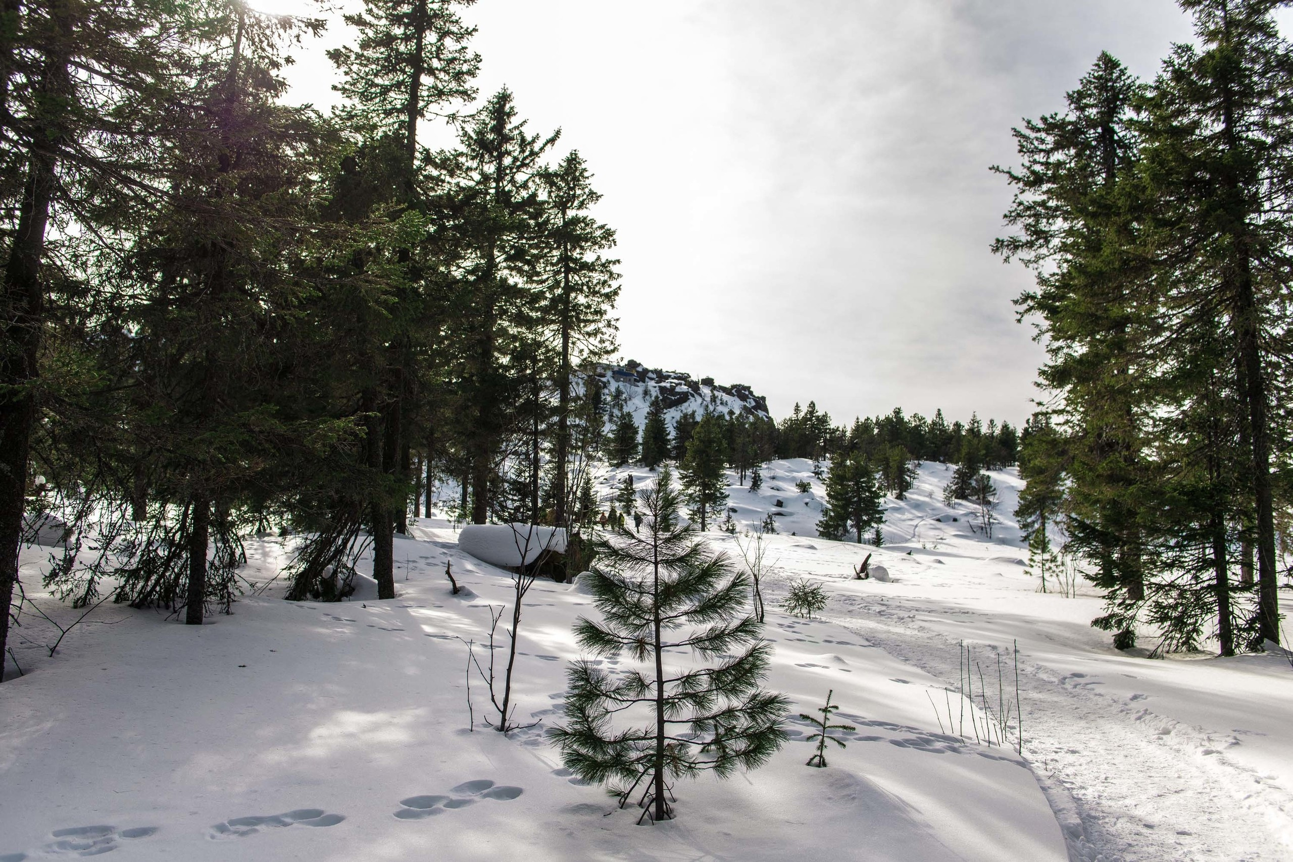 Качканар 06.04.2019. Свадебный фотограф на Урале Виктор Соколов