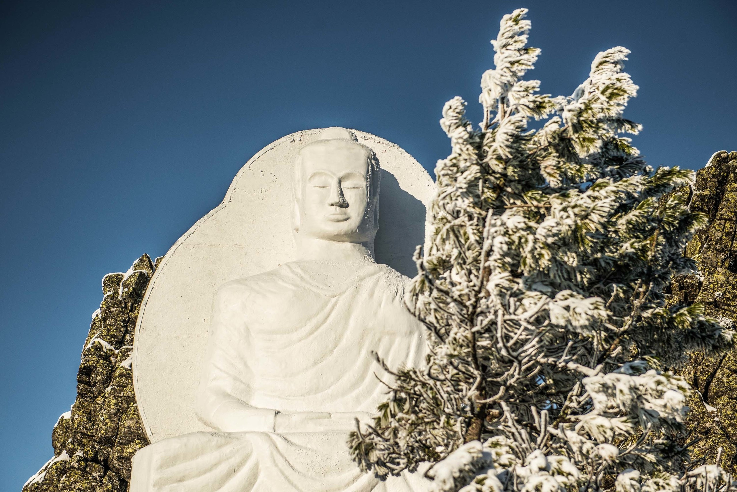 Качканар 19.10.2019. Свадебный фотограф на Урале Виктор Соколов