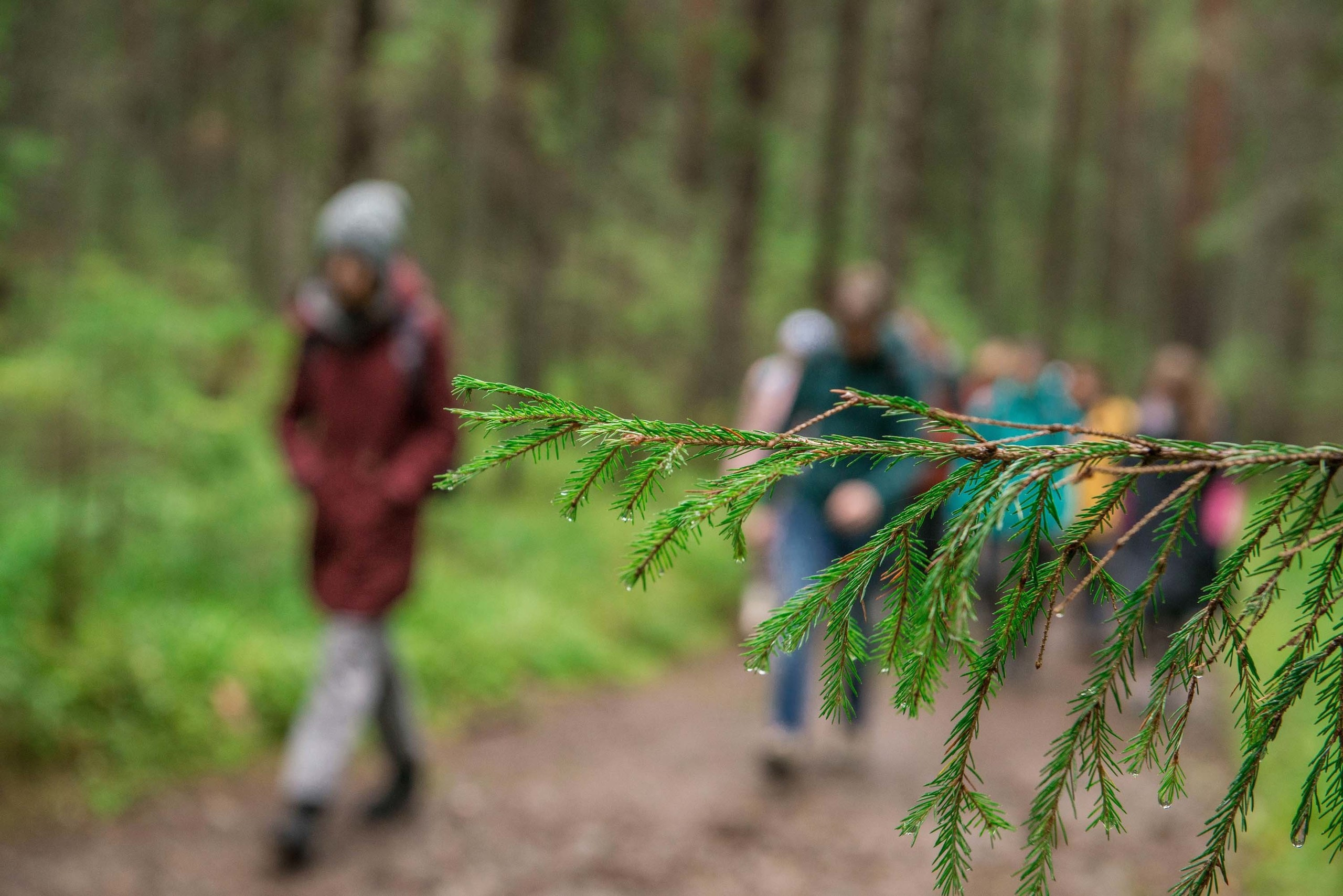 Качканар 03.08.2019. Свадебный фотограф на Урале Виктор Соколов