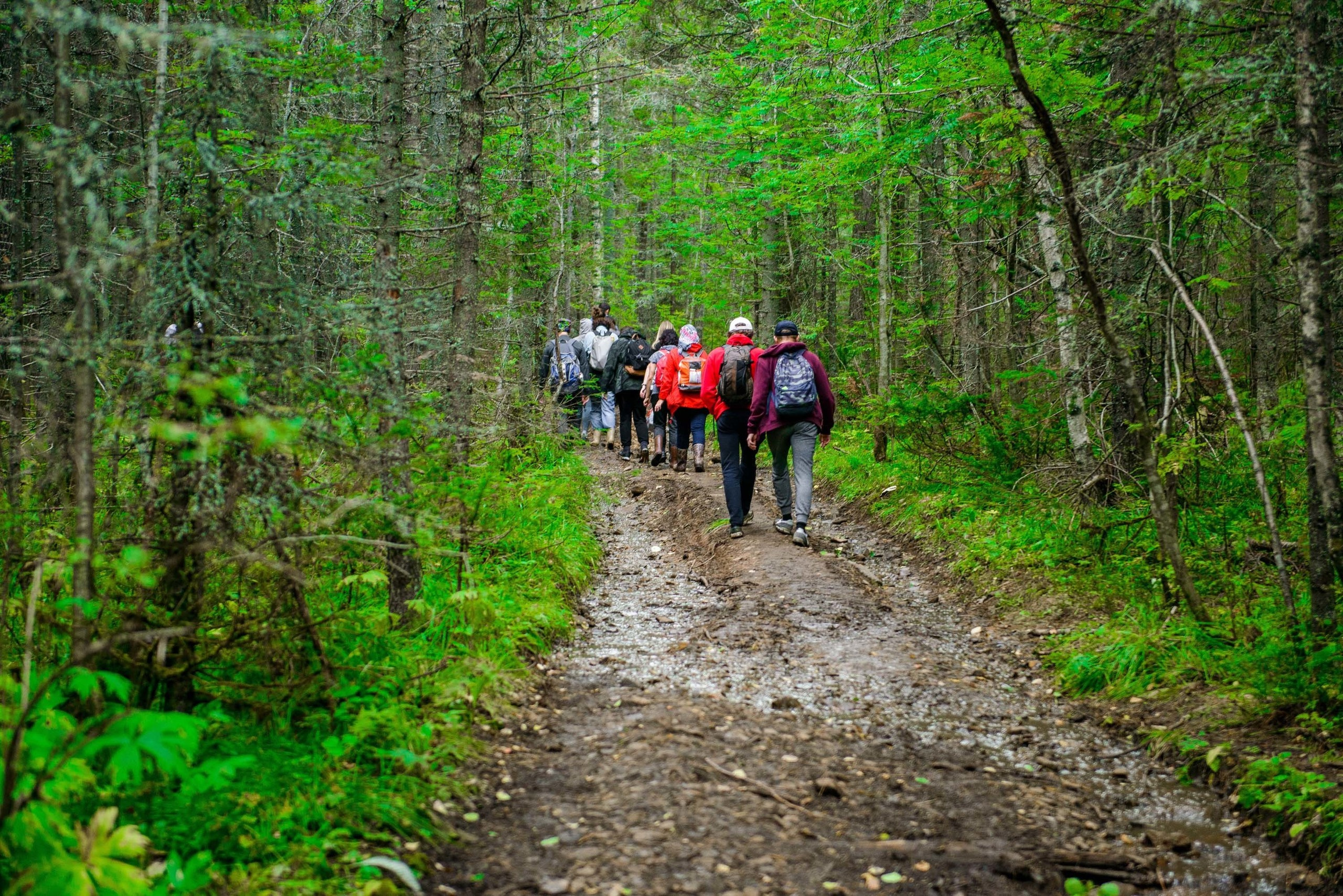 Качканар 24.08.2019. Свадебный фотограф на Урале Виктор Соколов