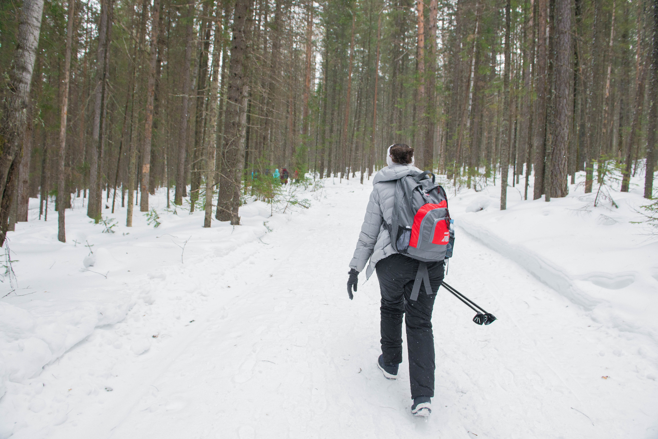 Качканар 07.03.2020. Свадебный фотограф на Урале Виктор Соколов