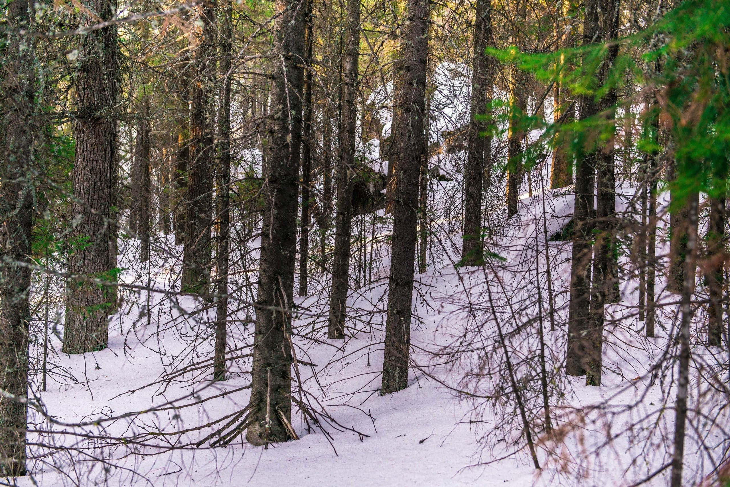 Качканар 06.04.2019. Свадебный фотограф на Урале Виктор Соколов
