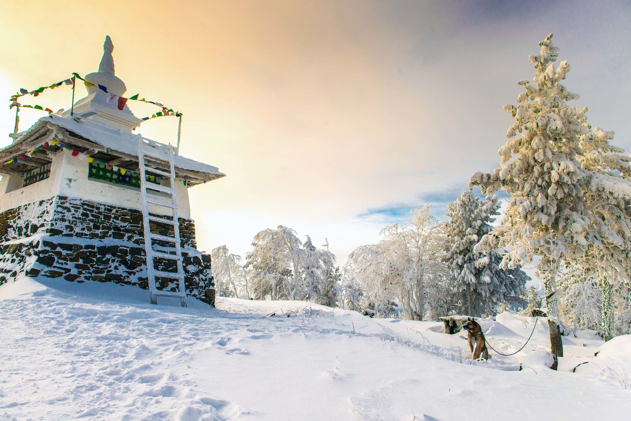 Качканар 24.11.2018. Свадебный фотограф на Урале Виктор Соколов