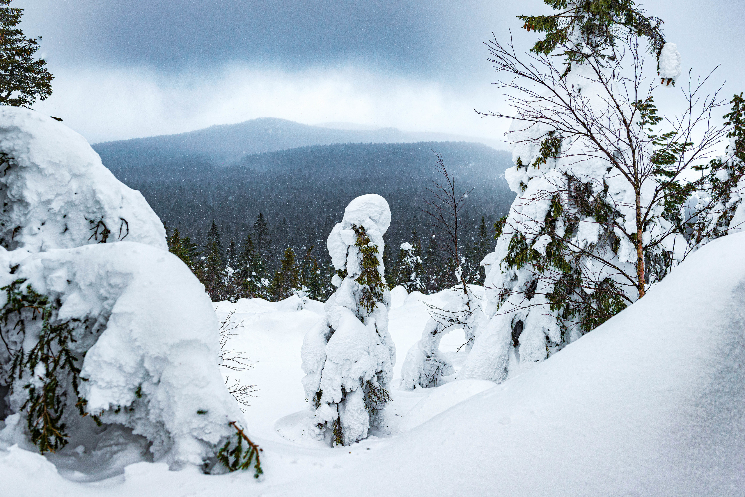 Качканар 07.03.2020. Свадебный фотограф на Урале Виктор Соколов