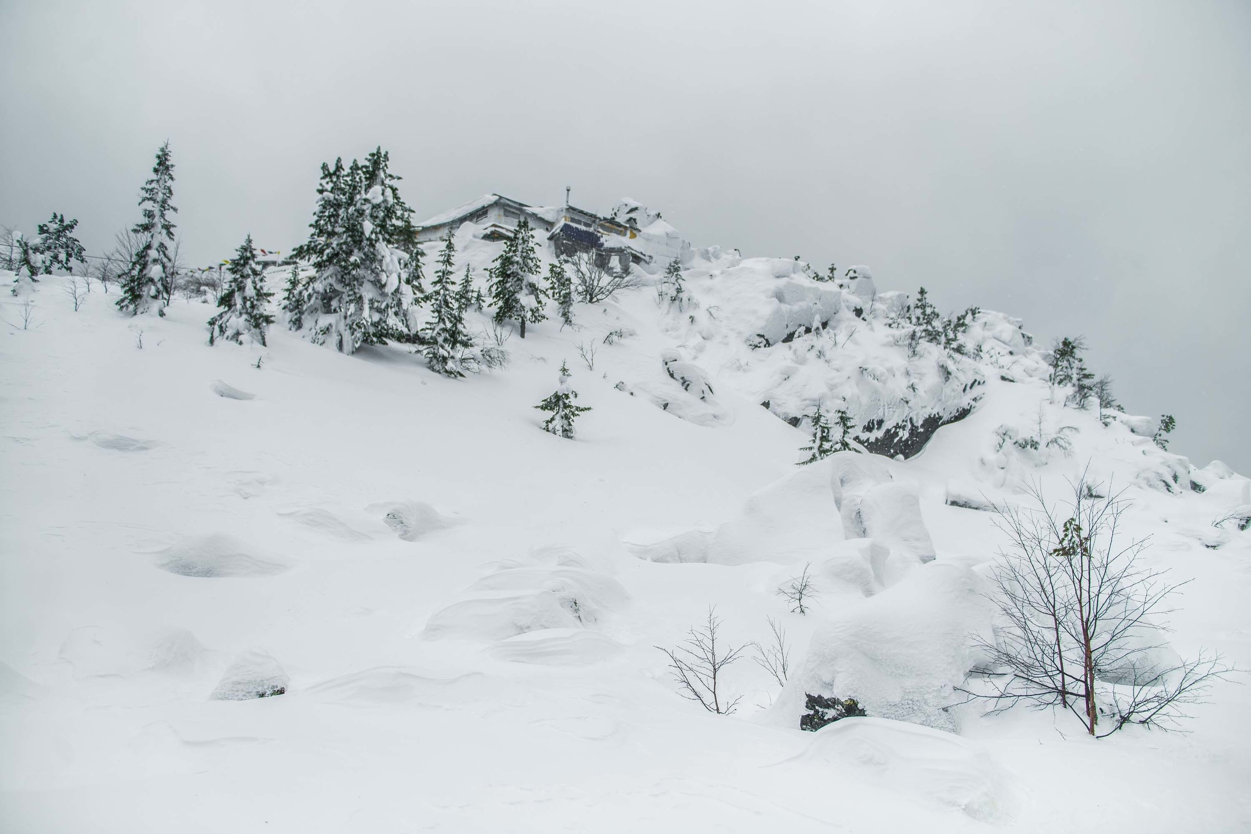 Качканар 09.03.2019. Свадебный фотограф на Урале Виктор Соколов
