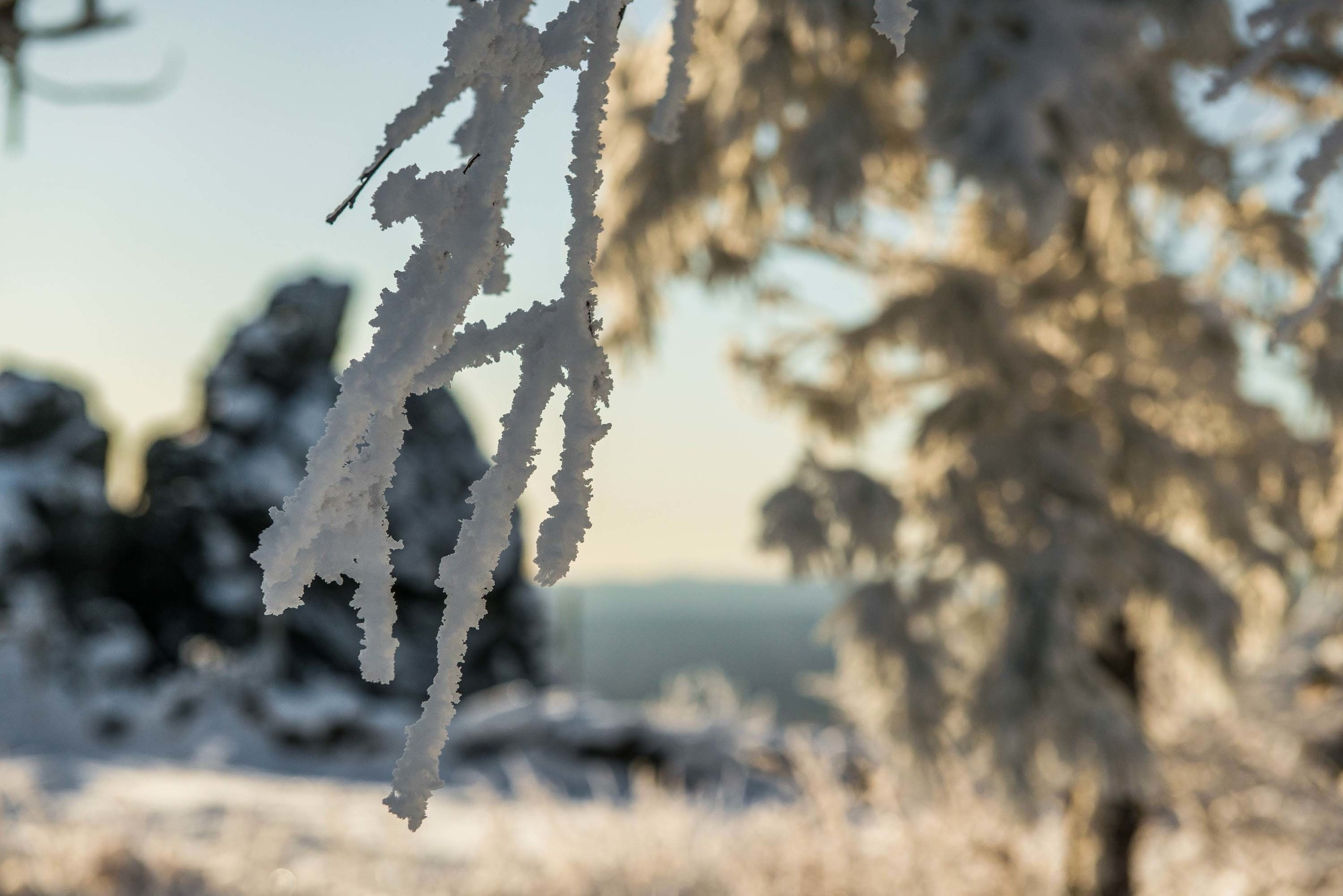 Качканар 19.10.2019. Свадебный фотограф на Урале Виктор Соколов