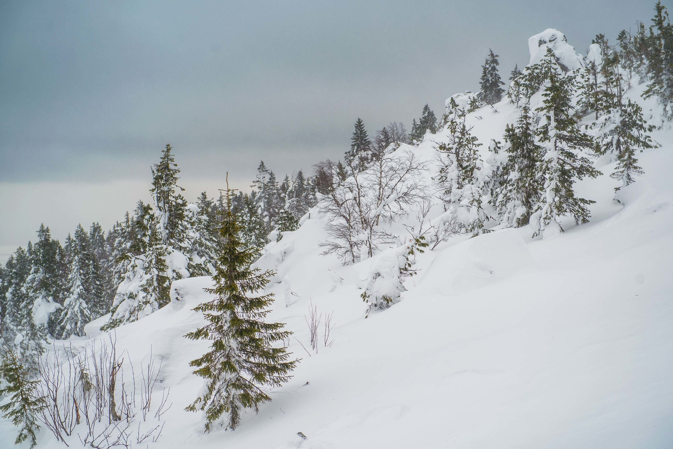 Качканар 09.03.2019. Свадебный фотограф на Урале Виктор Соколов
