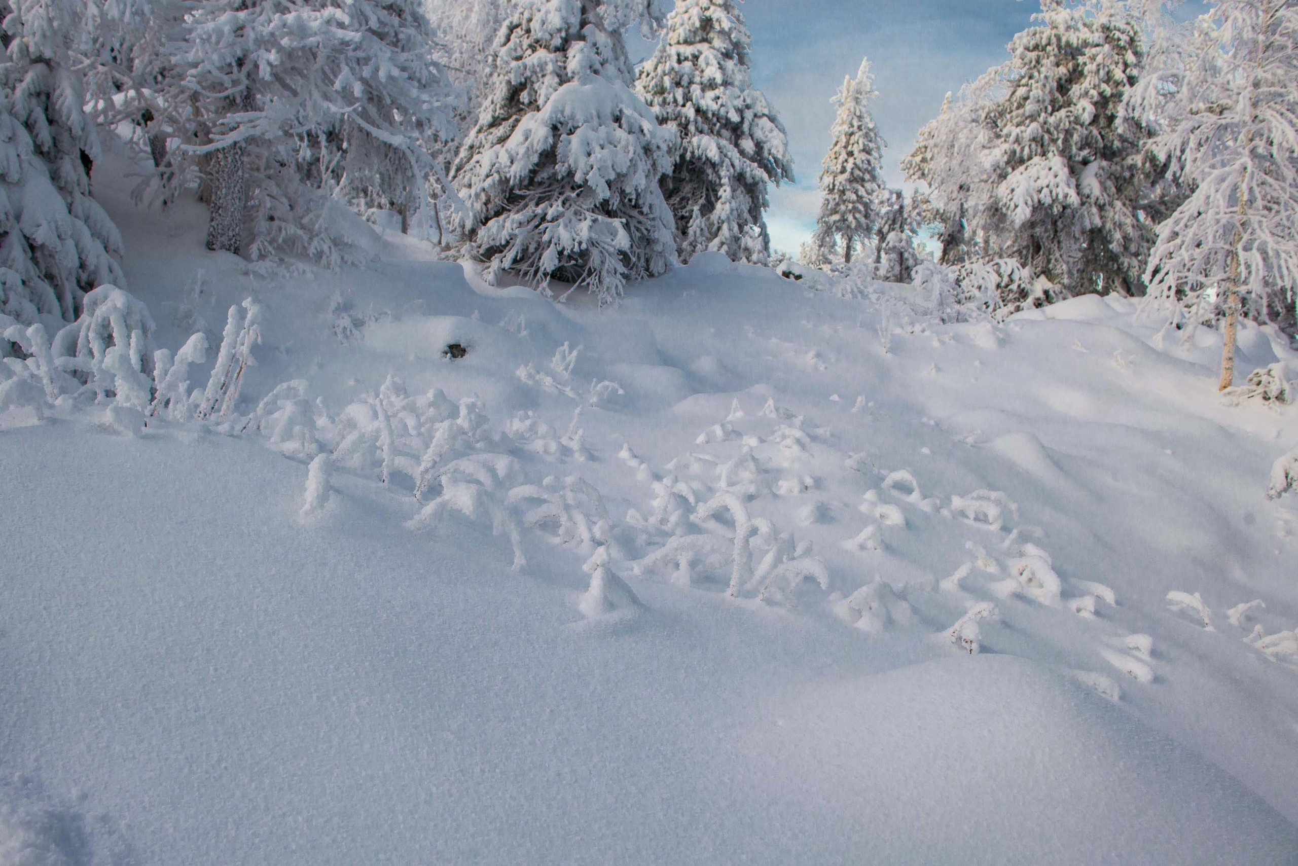 Качканар 24.11.2018. Свадебный фотограф на Урале Виктор Соколов
