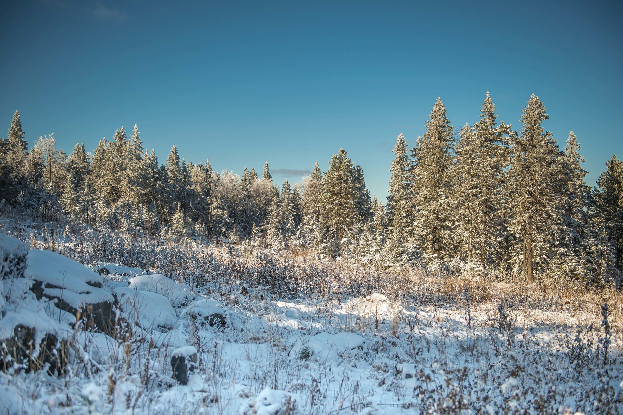 Качканар 19.10.2019. Свадебный фотограф на Урале Виктор Соколов