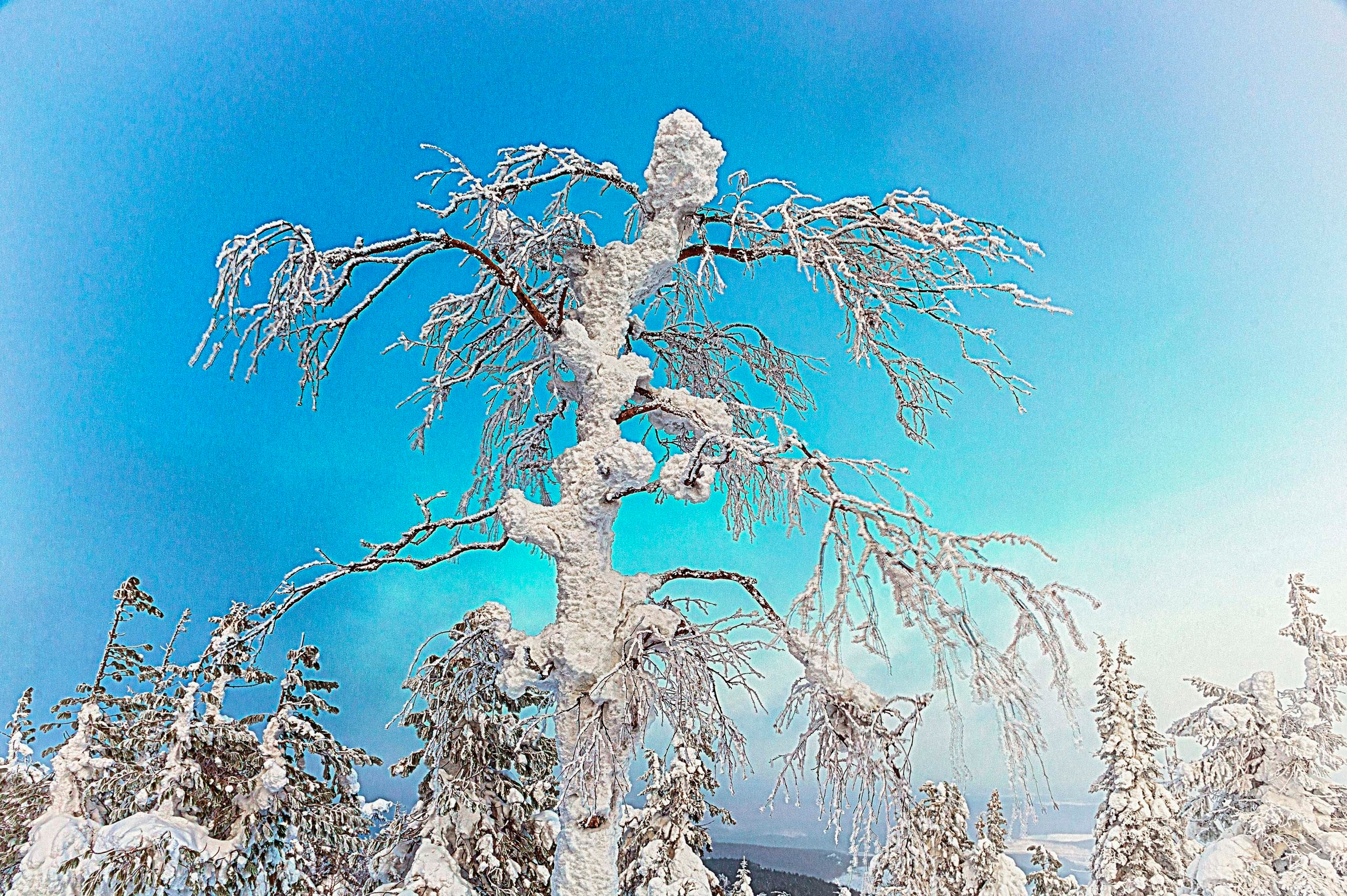 Качканар 15.02.2020. Свадебный фотограф на Урале Виктор Соколов