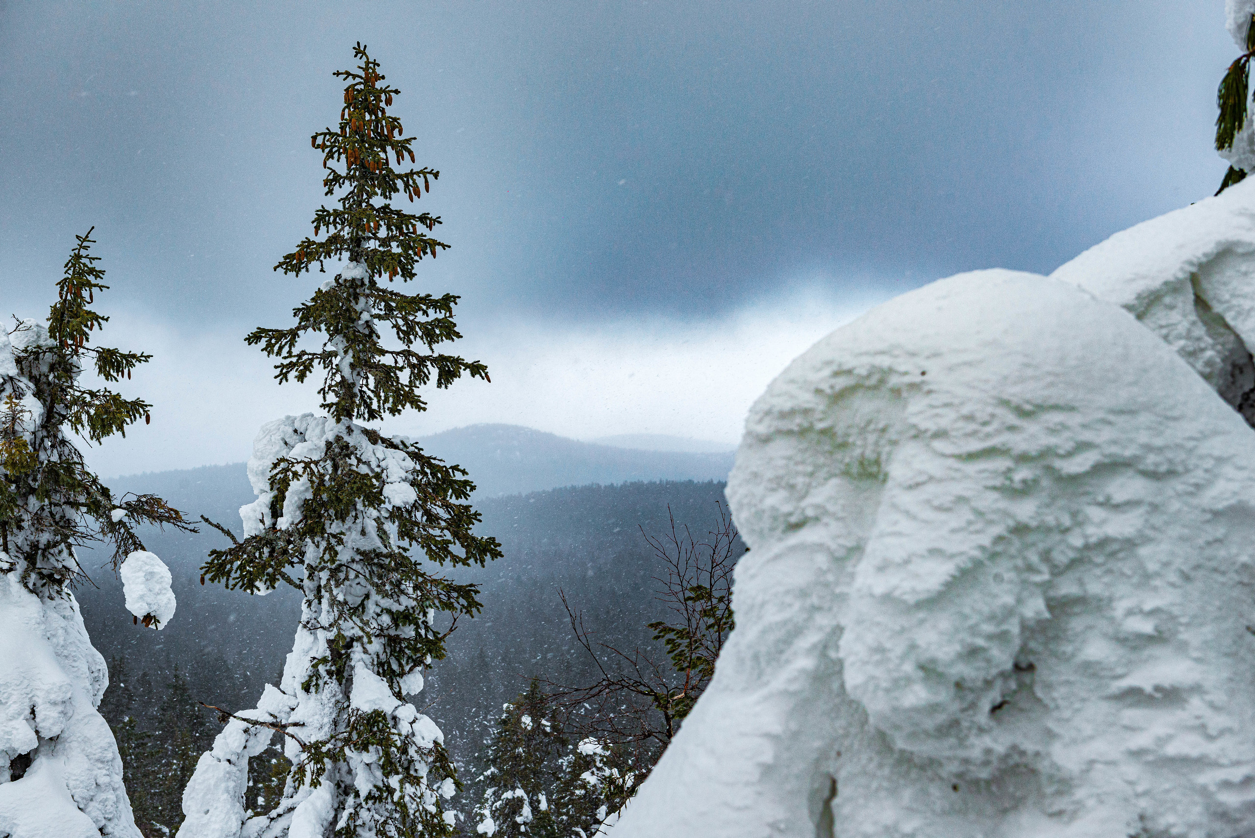 Качканар 07.03.2020. Свадебный фотограф на Урале Виктор Соколов