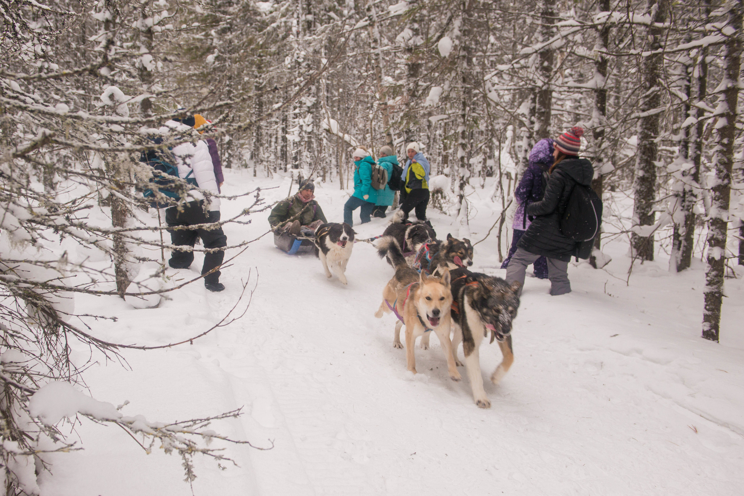 Качканар 06.01.2020. Свадебный фотограф на Урале Виктор Соколов