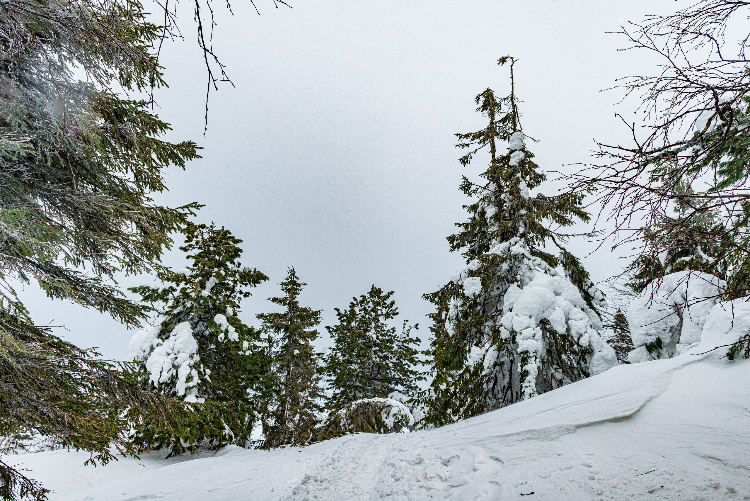 Качканар 07.03.2020. Свадебный фотограф на Урале Виктор Соколов