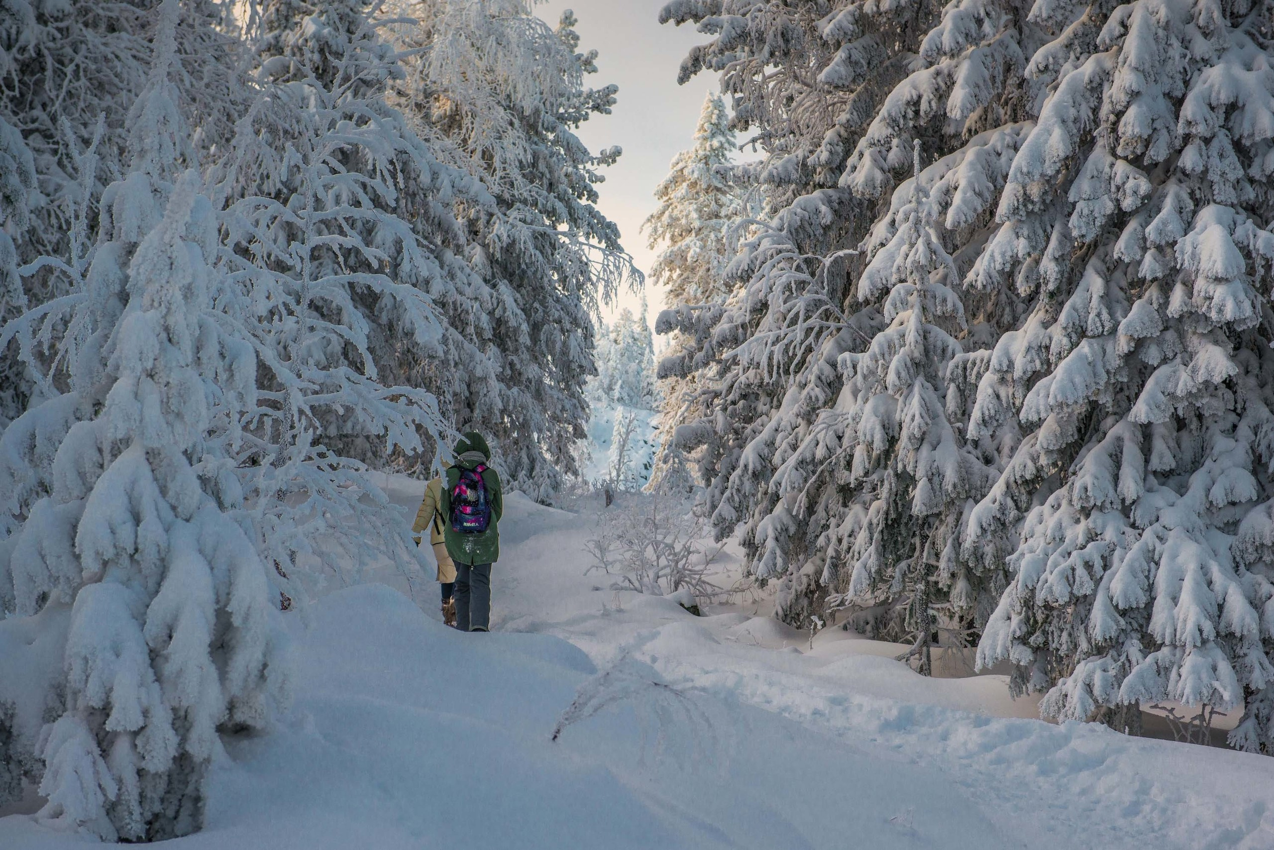 Качканар 24.11.2018. Свадебный фотограф на Урале Виктор Соколов
