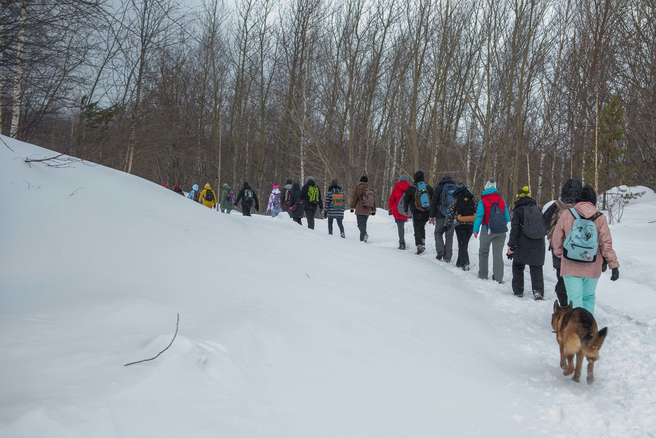 Качканар 09.03.2019. Свадебный фотограф на Урале Виктор Соколов