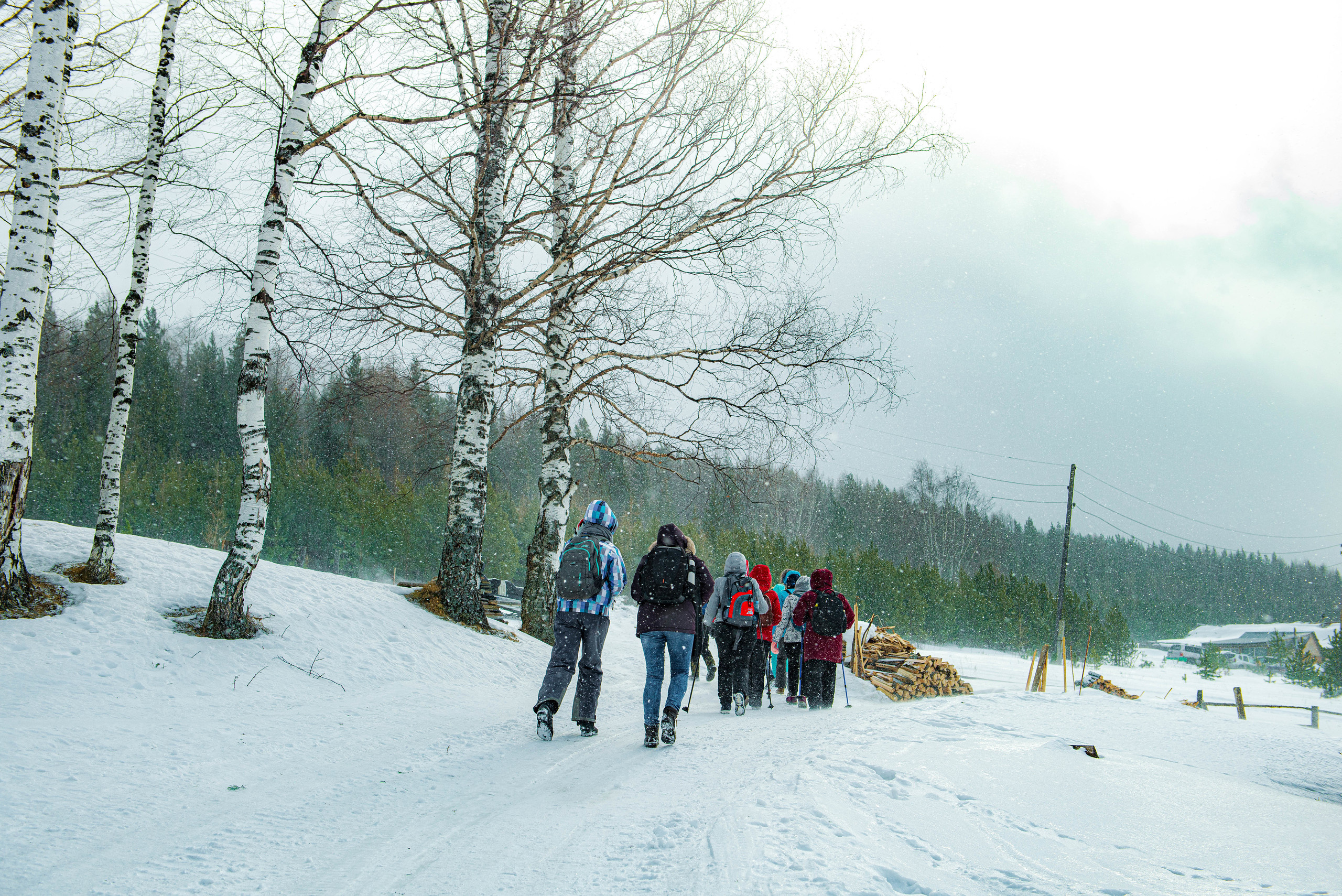 Качканар 07.03.2020. Свадебный фотограф на Урале Виктор Соколов